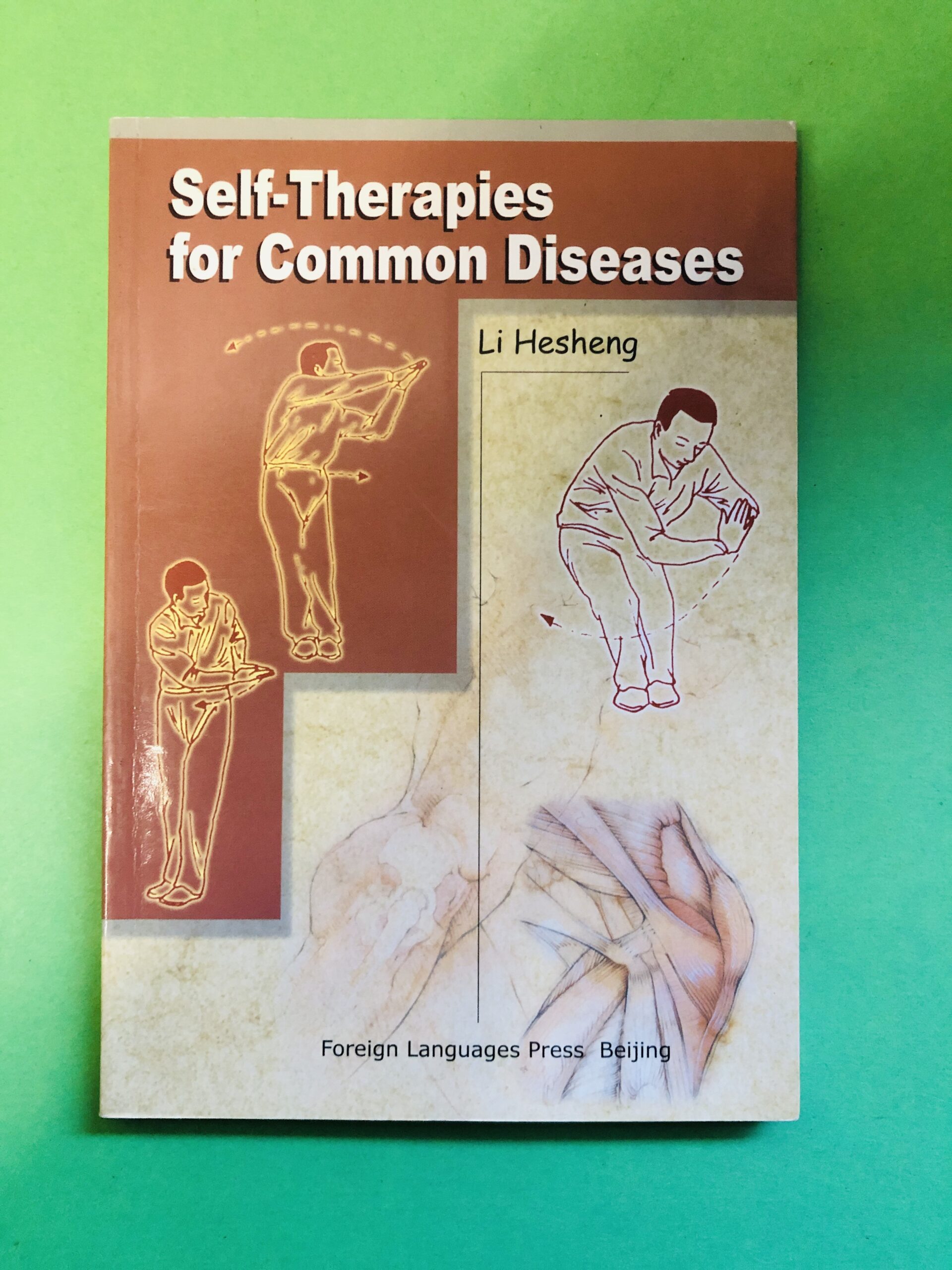 Self-Therapies for Common Diseases - Li Hesheng