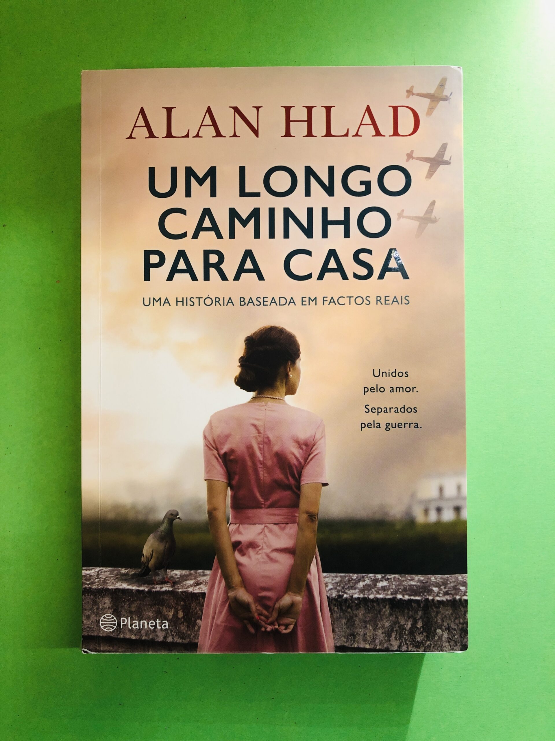Um Longo Caminho para Casa - Alan Hlad