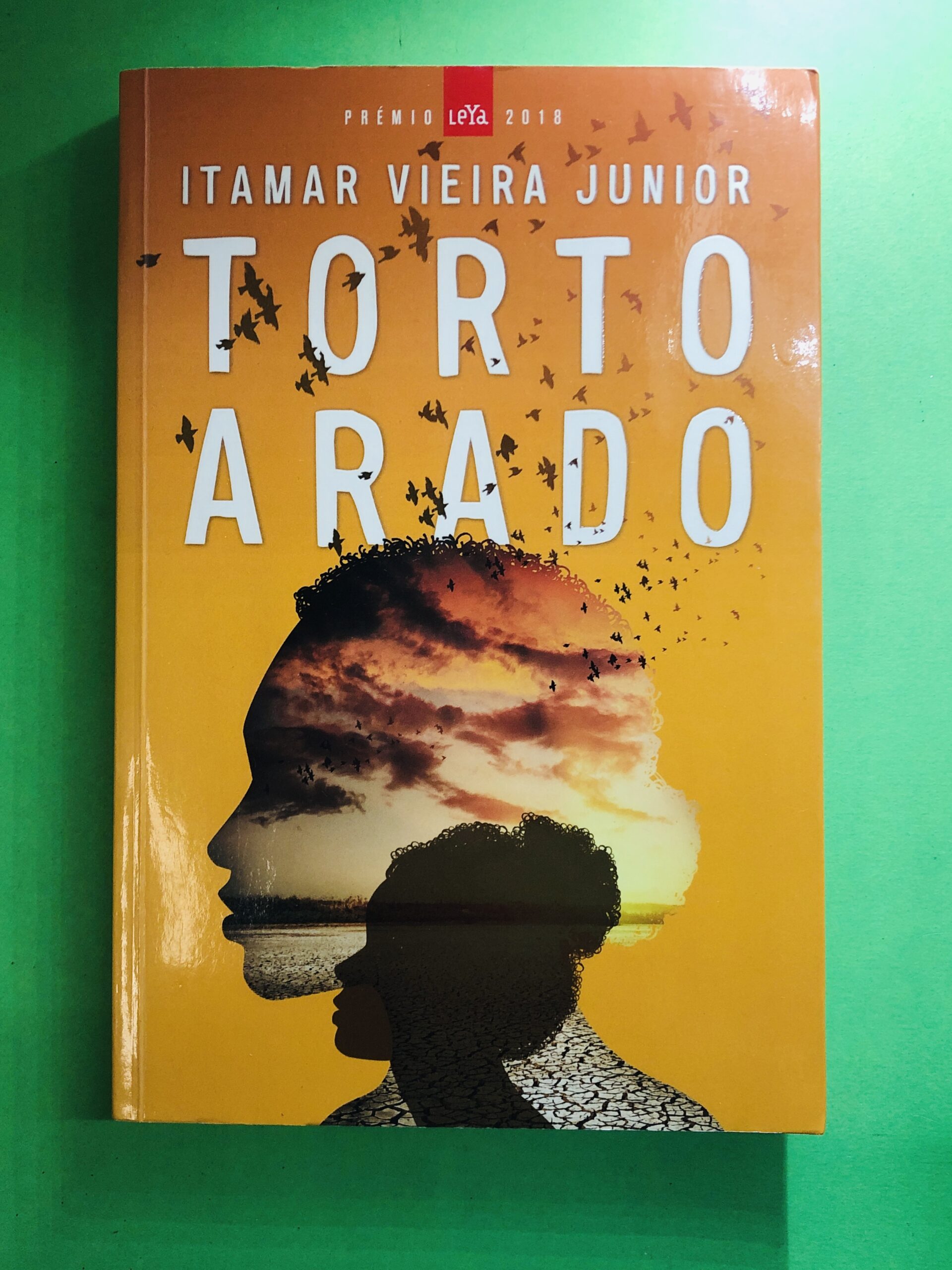 Torto Arado - Itamar Vieira Junior
