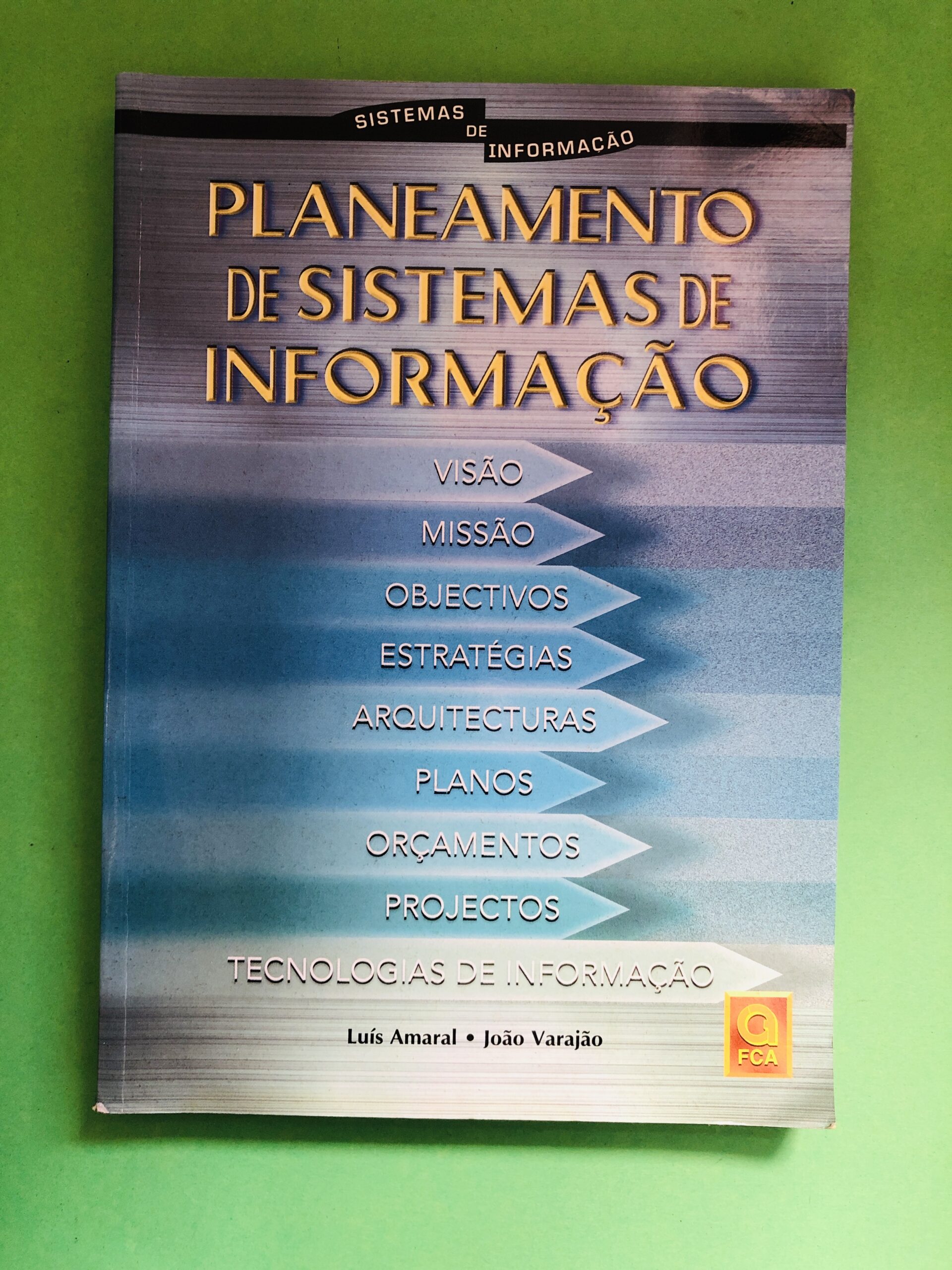 Planeamento de Sistemas de Informação - Luís Amaral e João Varajão