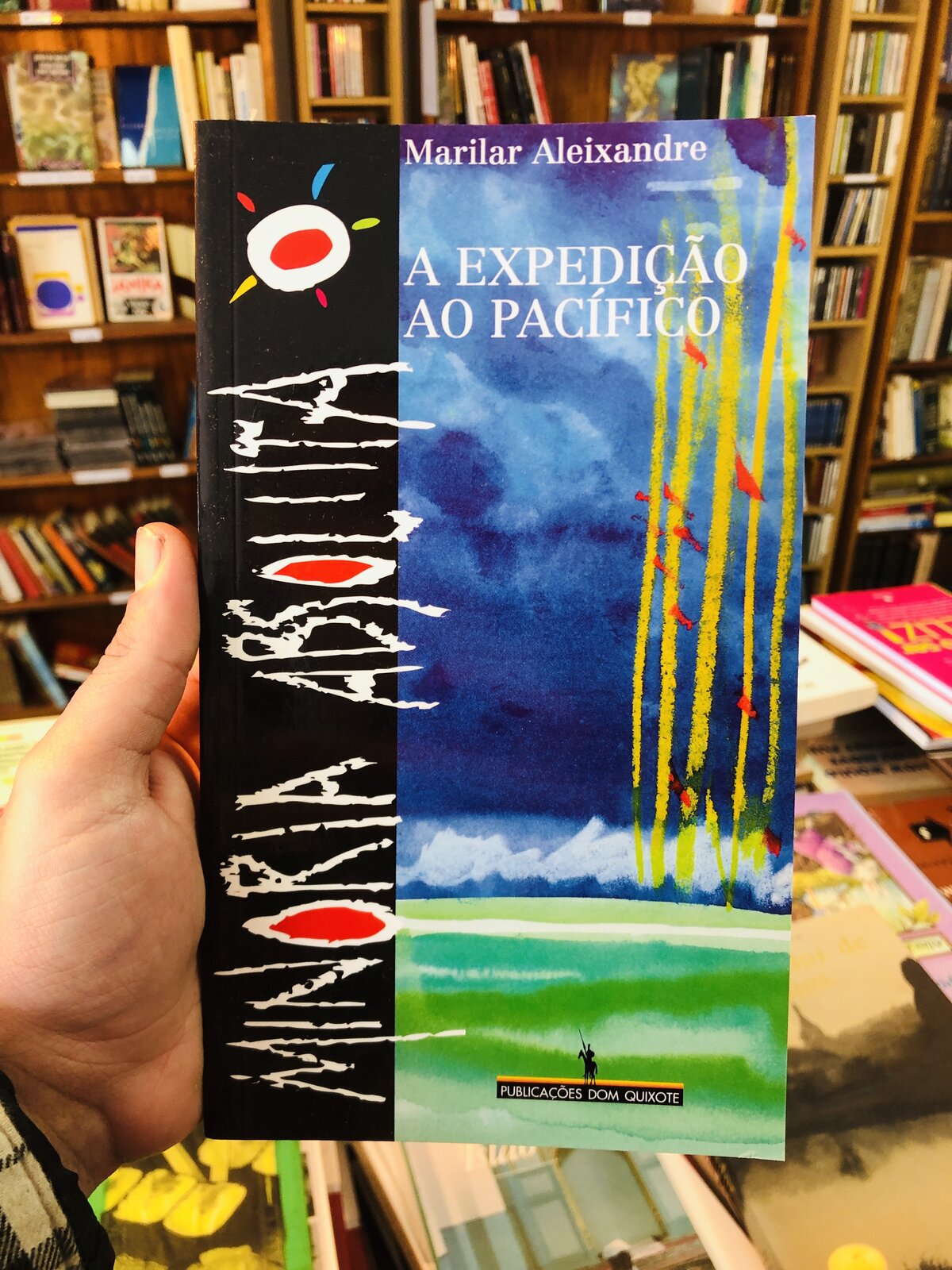 A Expedição ao Pacífico - Marilar Aleixandre