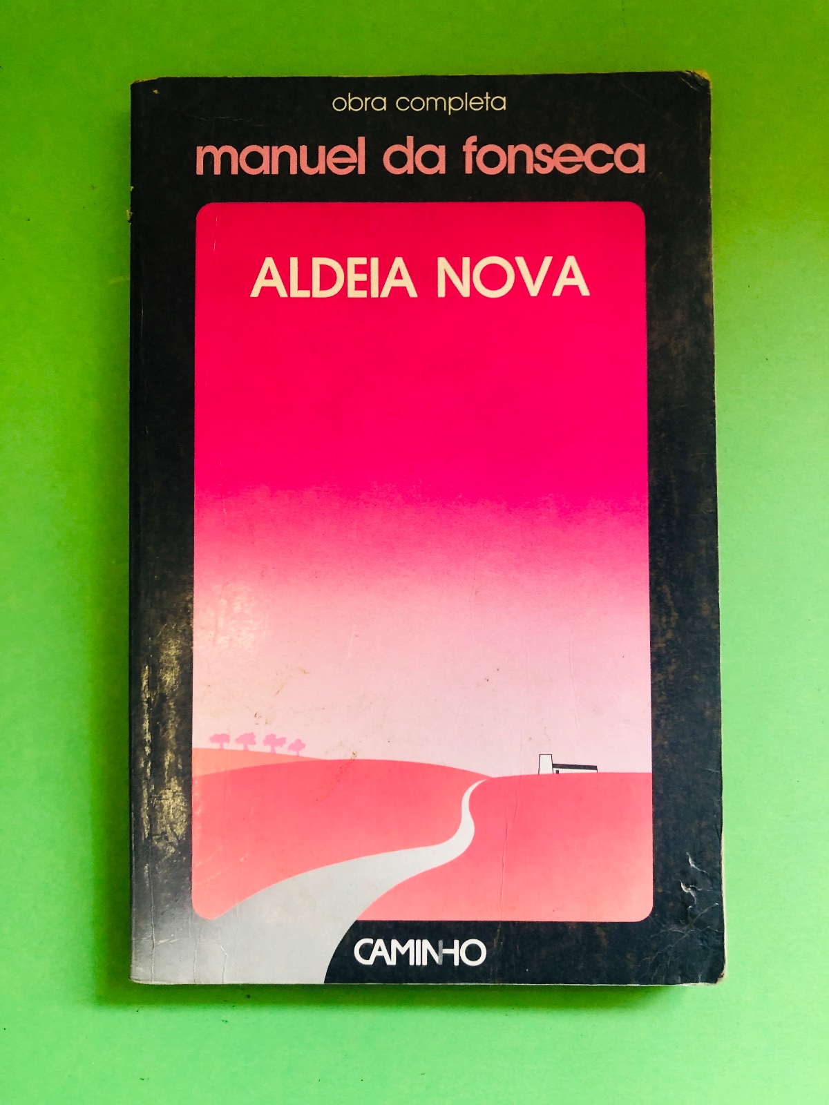 ALDEIA NOVA - manuel da fonseca