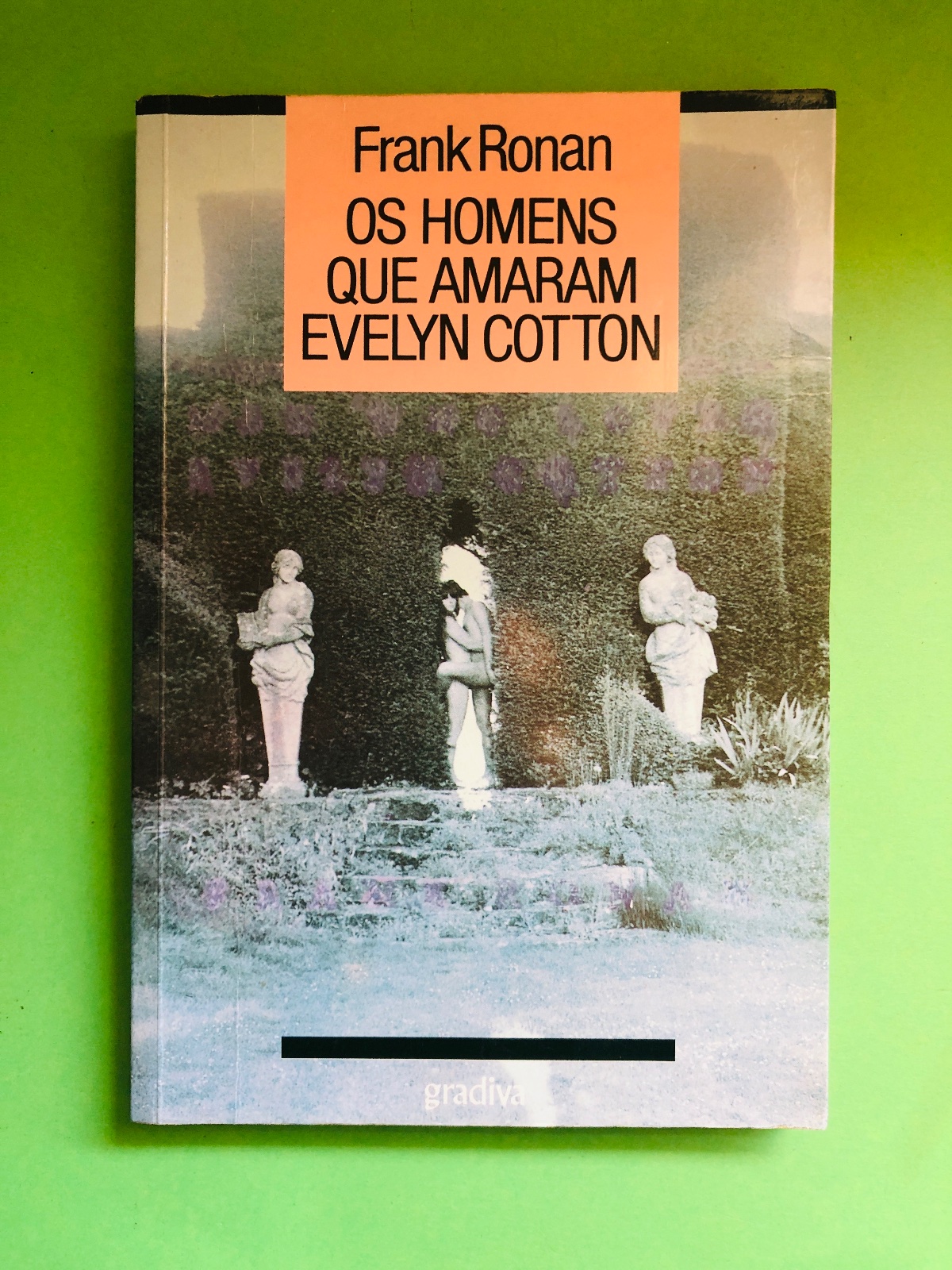 OS HOMENS QUE AMARAM EVELYN COTTON - Frank Ronan