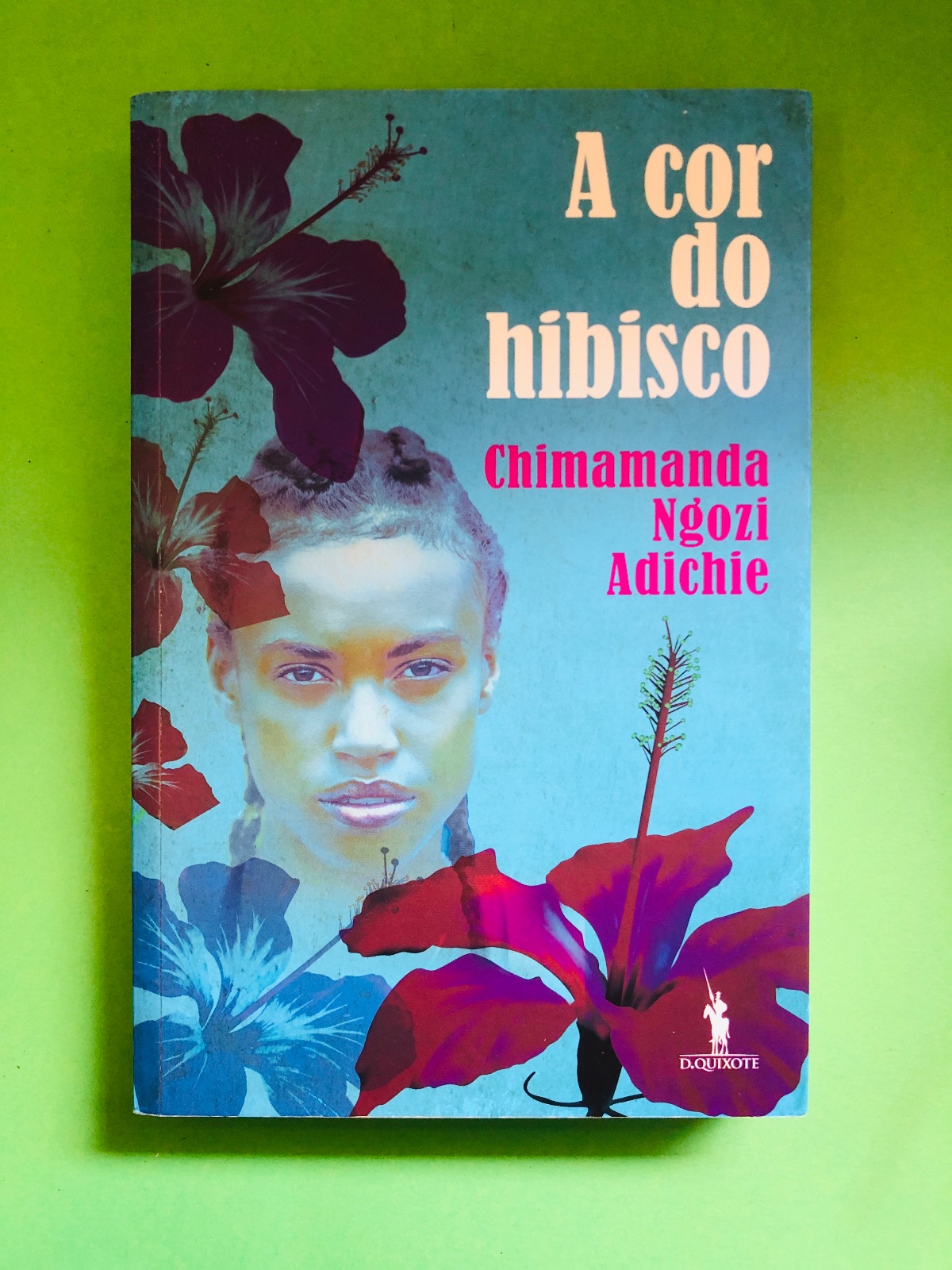 A cor do hibisco - Chimamanda Ngozi Adichie