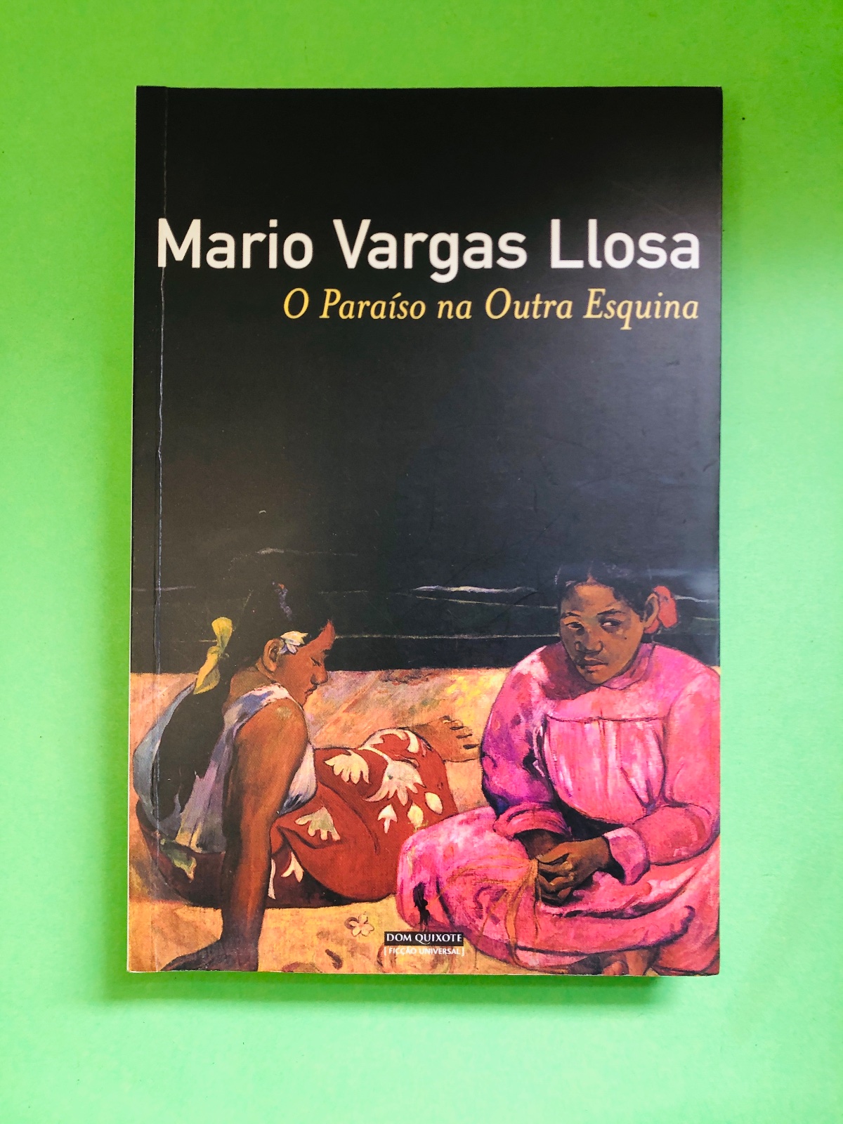 O Paraíso na Outra Esquina - Mario Vargas Llosa