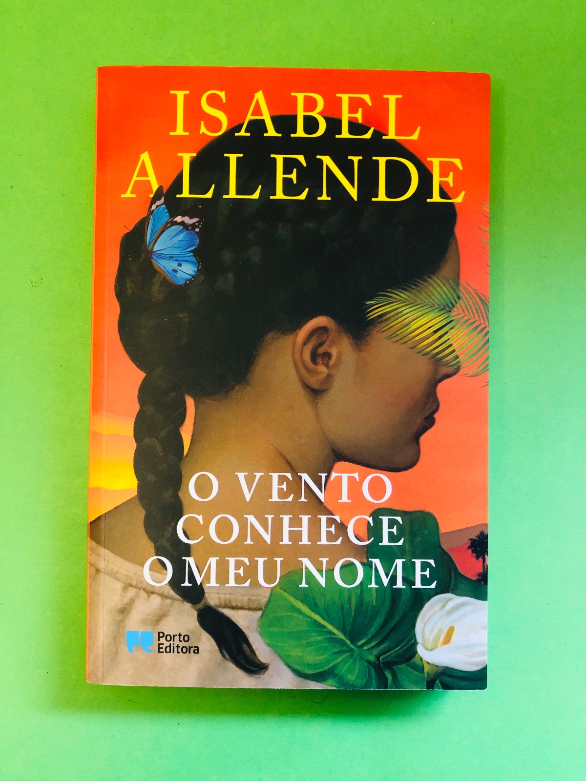 O Vento Conhece O Meu Nome - Isabel Allende
