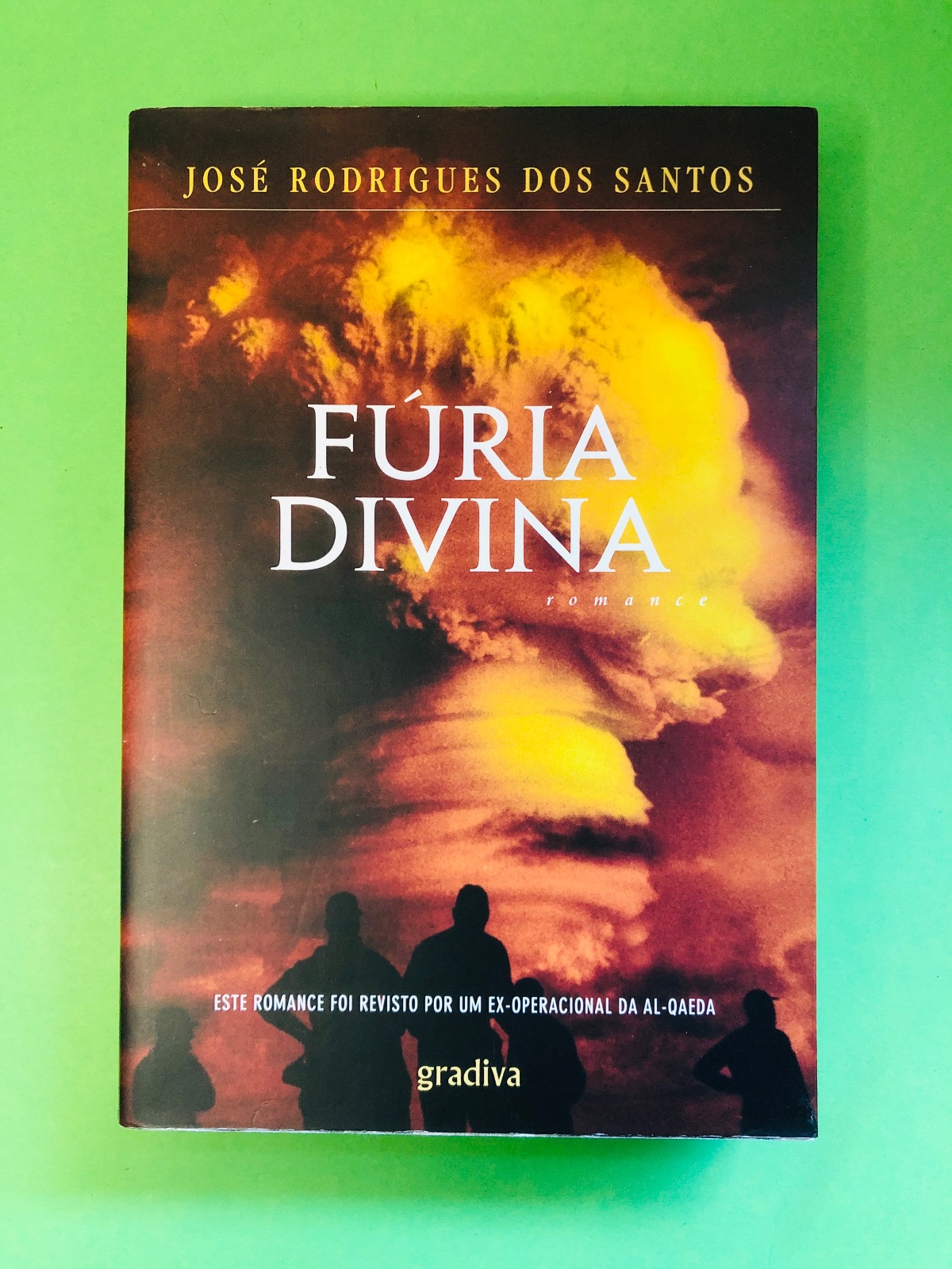 FÚRIA DIVINA - JOSÉ RODRIGUES DOS SANTOS