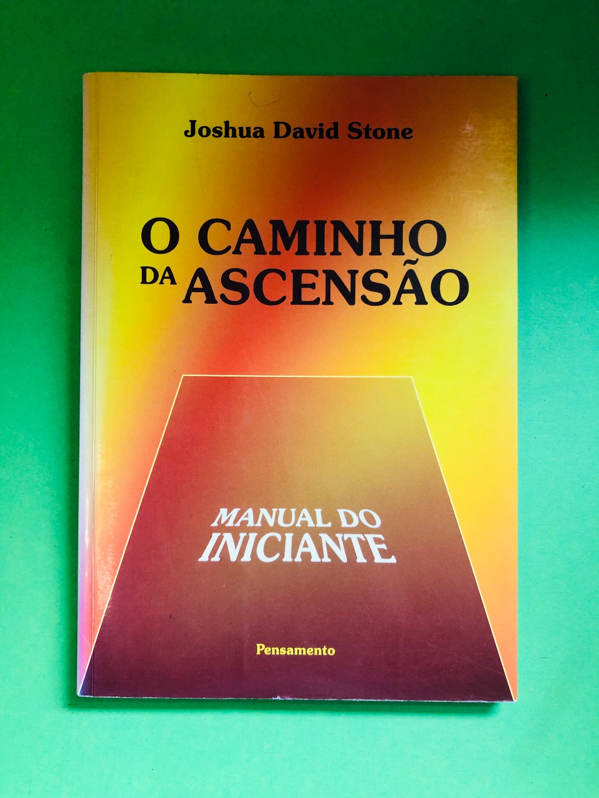 O CAMINHO DA ASCENSÃO - Joshua David Stone