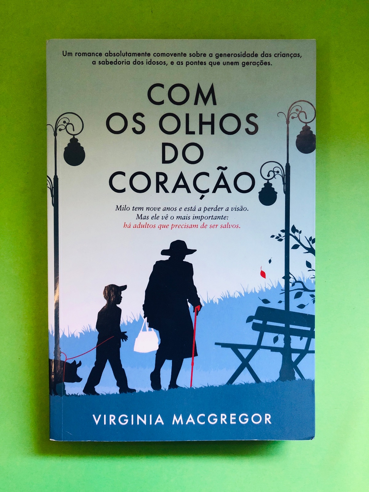 COM OS OLHOS DO CORAÇÃO - VIRGINIA MACGREGOR