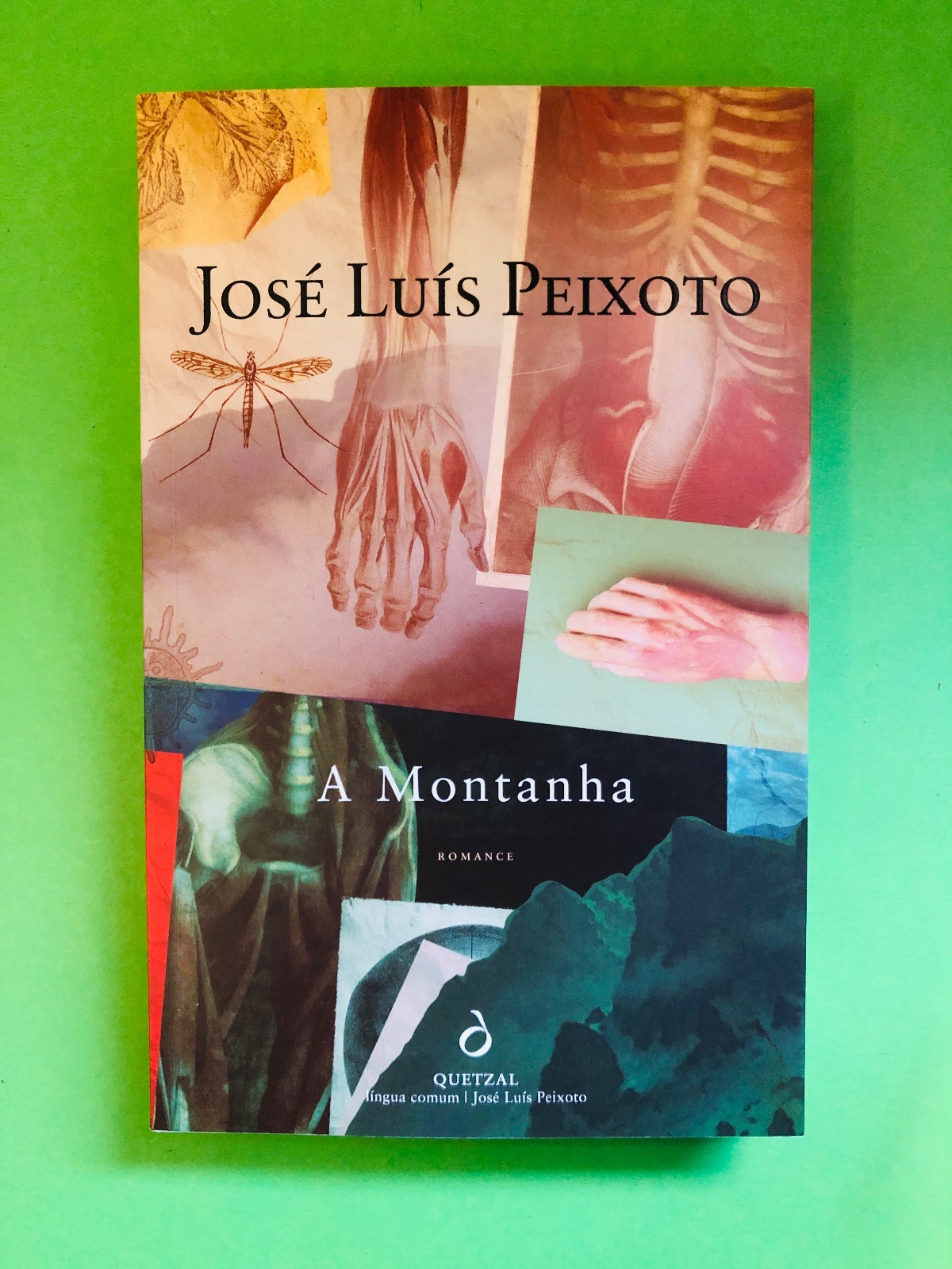 A Montanha - José Luís Peixoto
