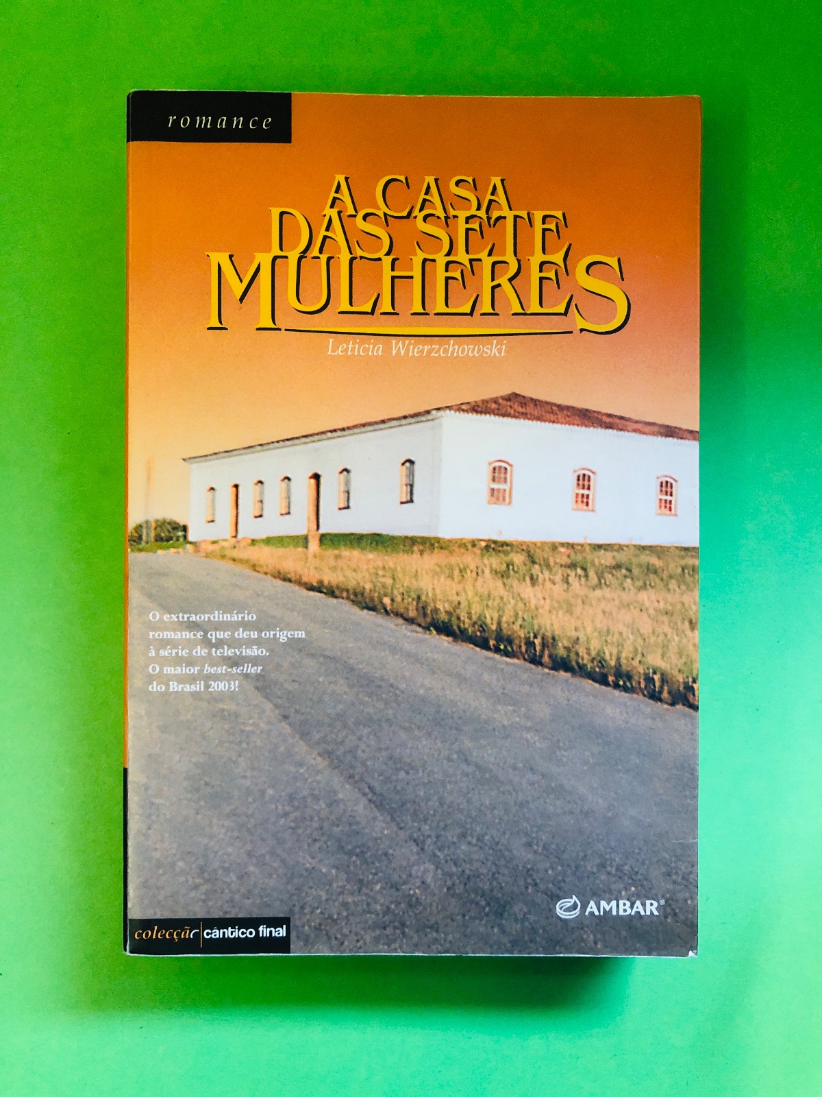 A Casa das Sete Mulheres - Leticia Wierzchowski
