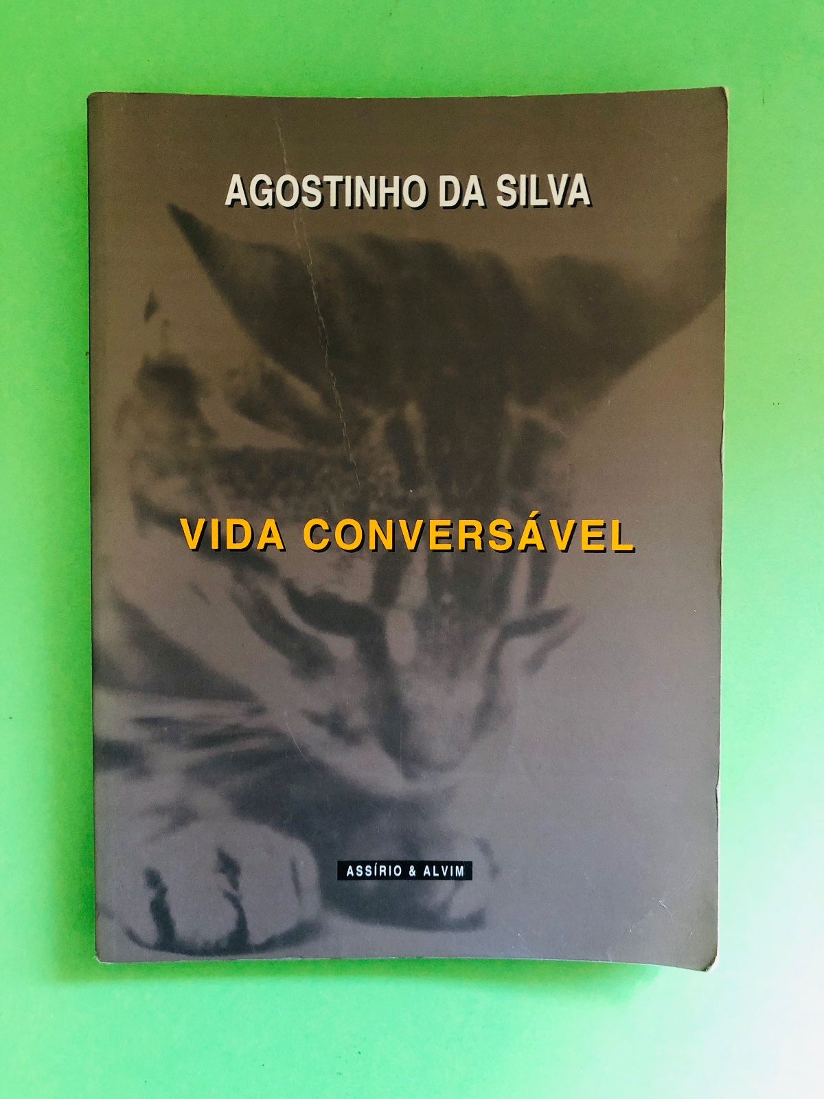 VIDA CONVERSÁVEL - AGOSTINHO DA SILVA