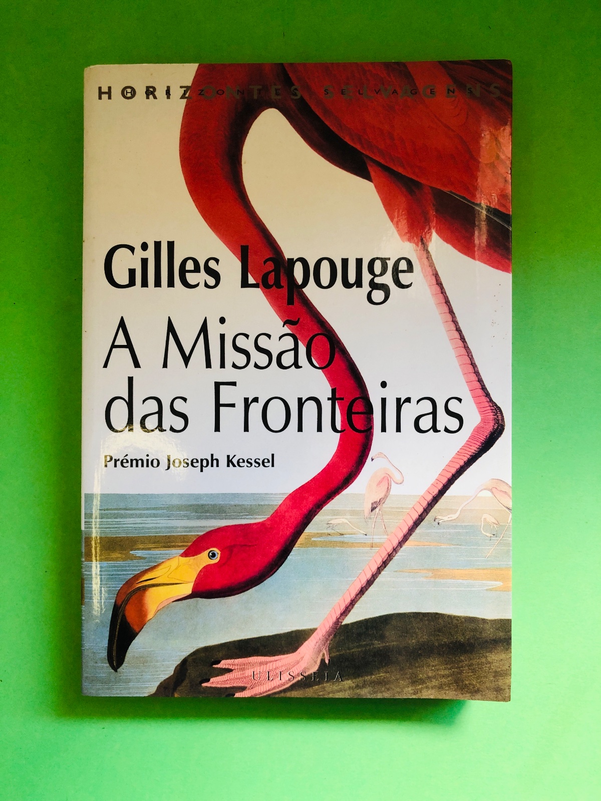 A Missão das Fronteiras - Gilles Lapouge