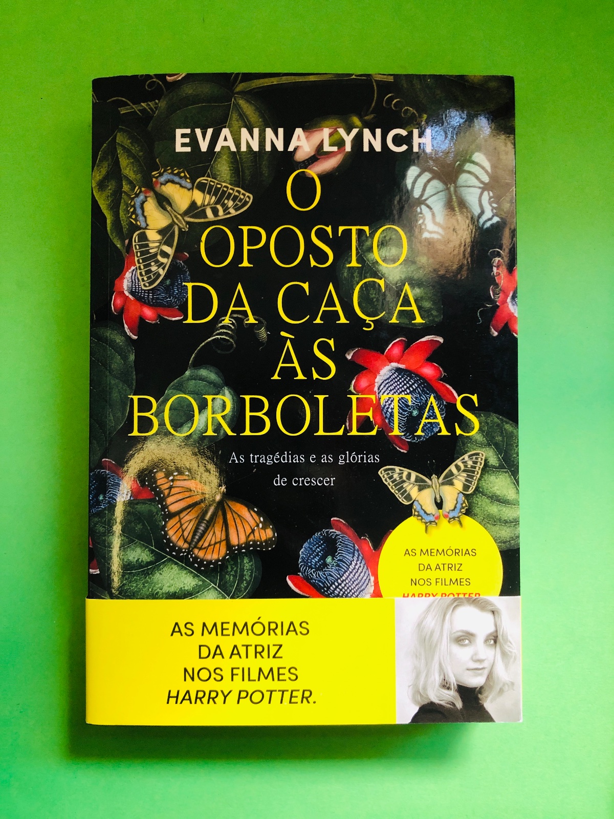 O Oposto da Caça às Borboletas - Evanna Lynch