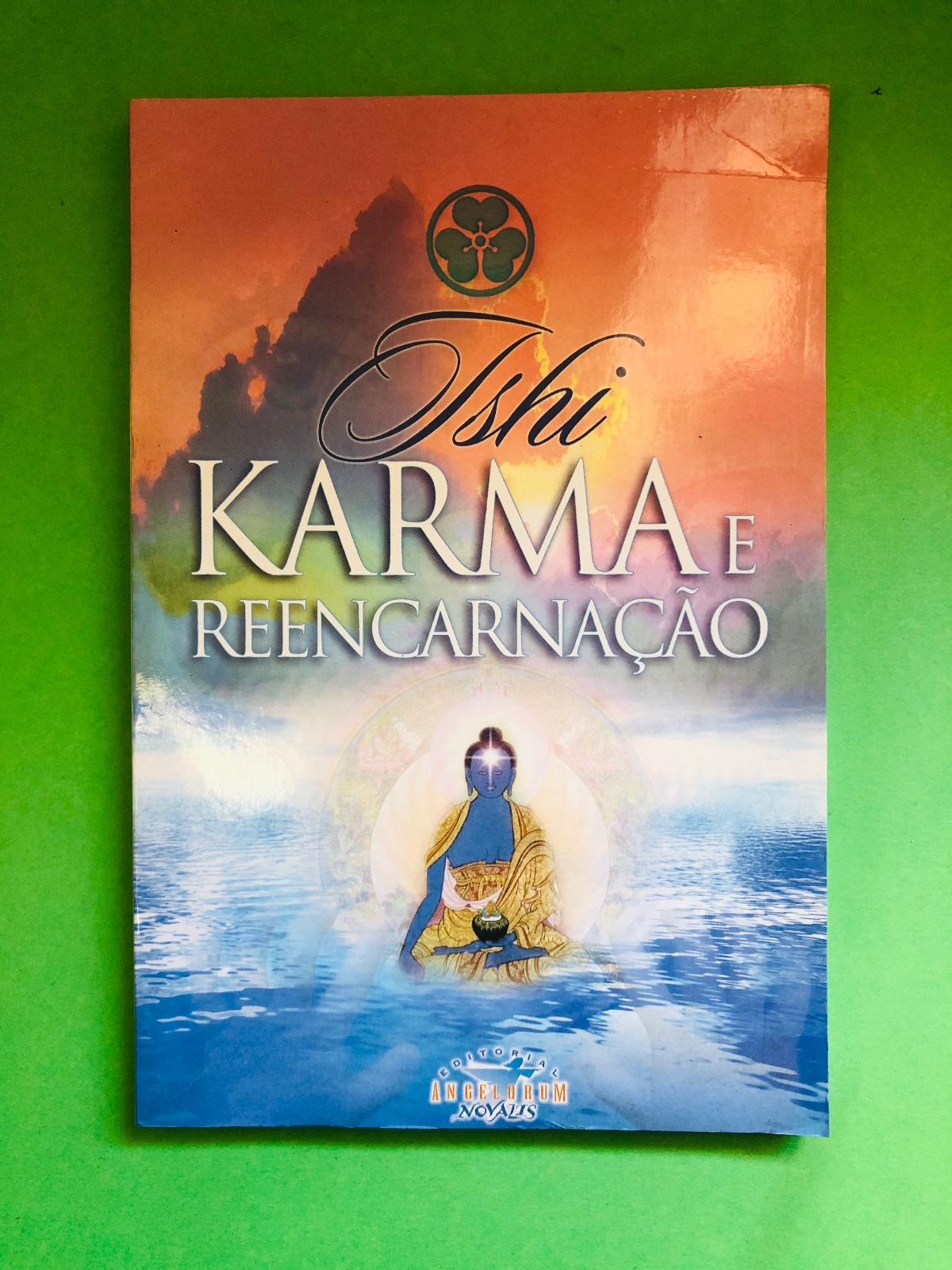 Karma e Reencarnação - Ishi