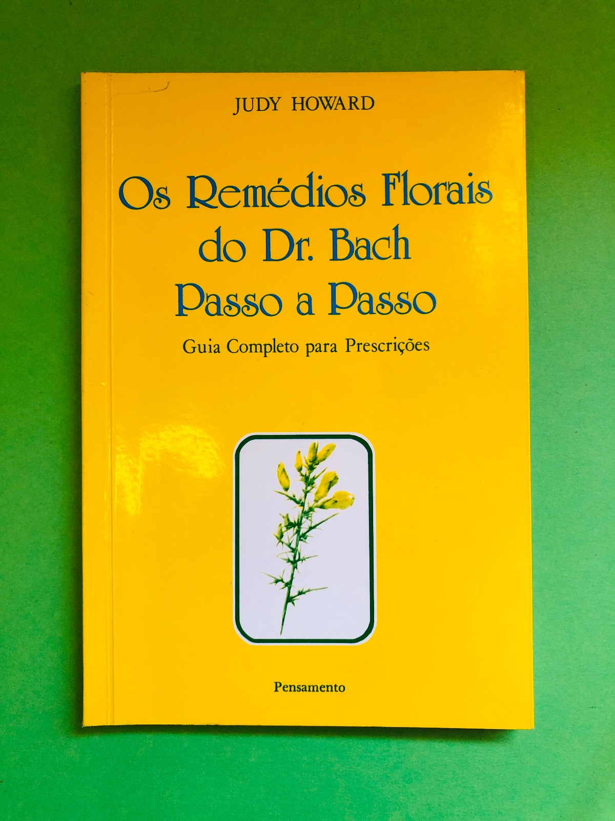 Os Remédios Florais do Dr. Bach Passo a Passo - Judy Howard