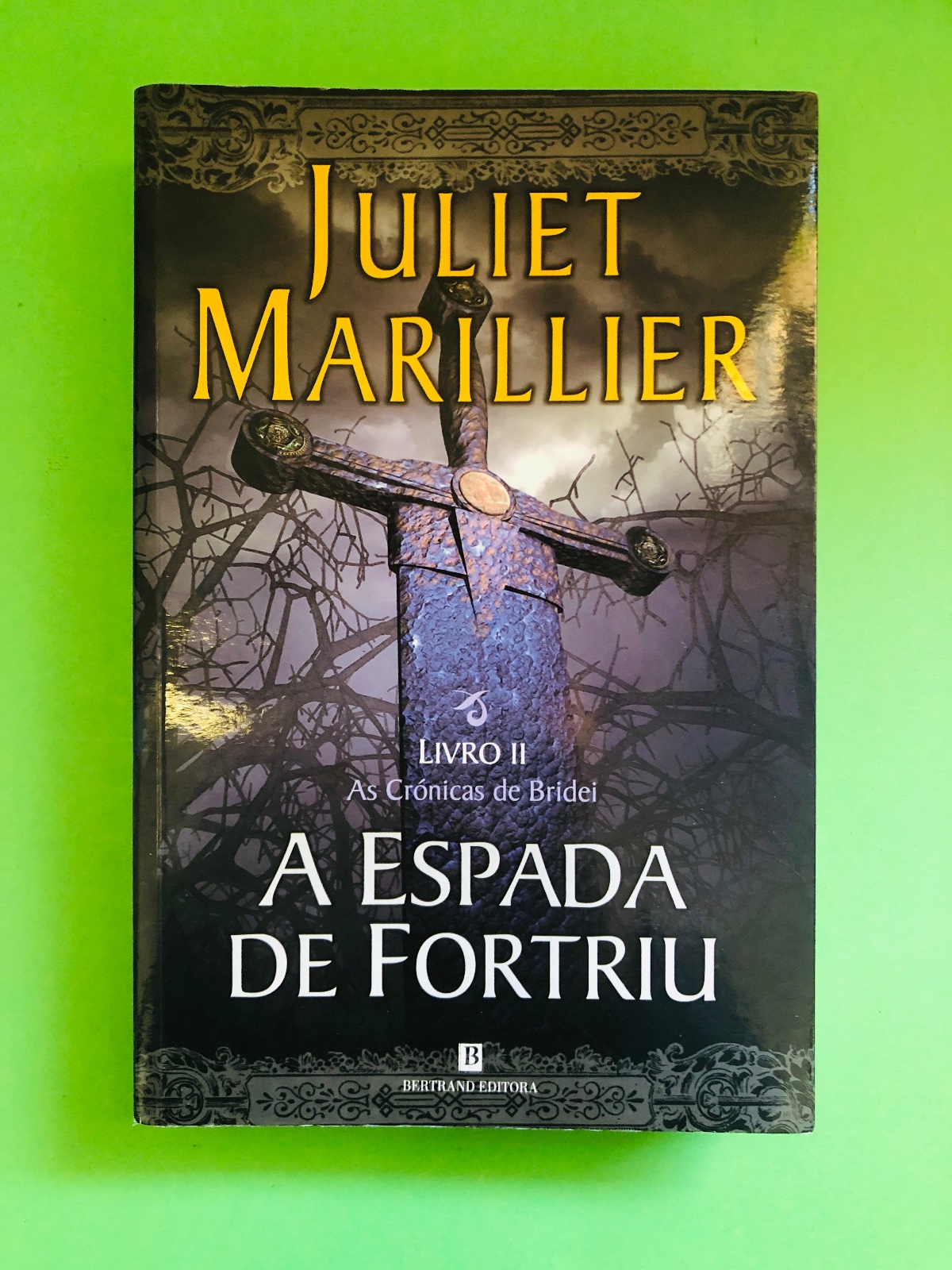 A Espada de Fortriu - Juliet Marillier