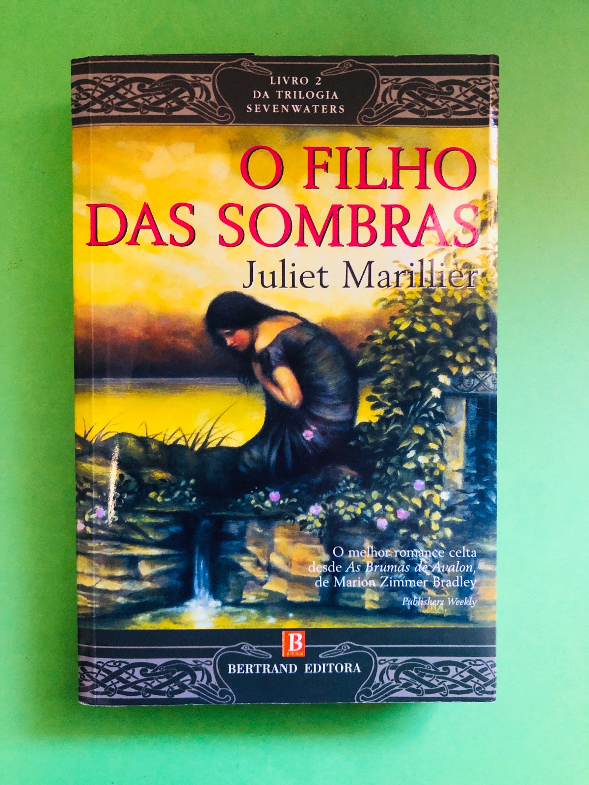 O Filho das Sombras - Juliet Marillier