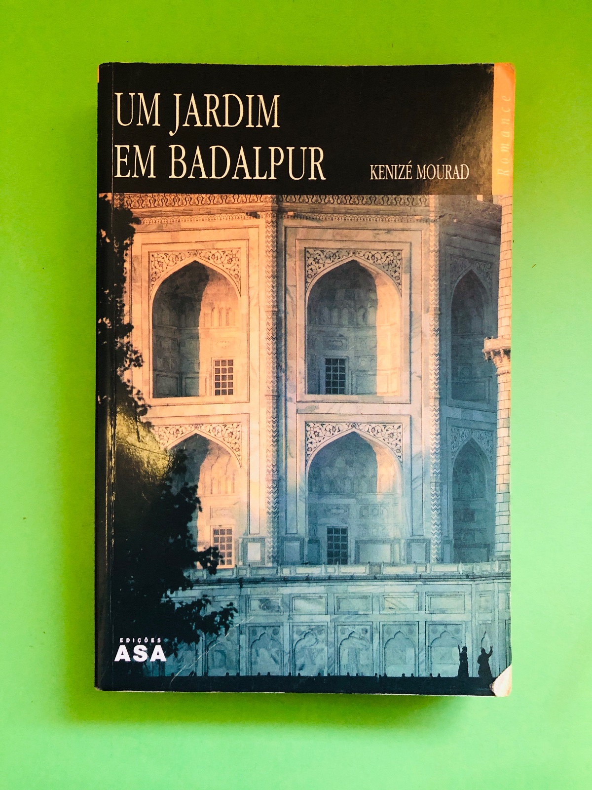 UM JARDIM EM BADALPUR - KENZIE MOURAD