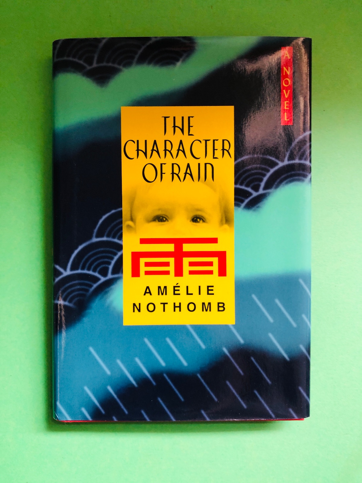 The Character of Rain - Amélie Nothomb