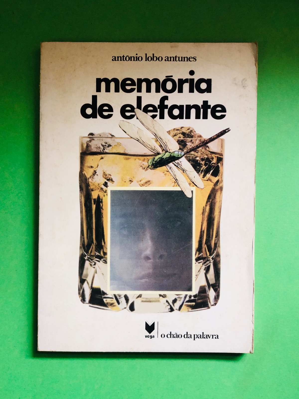 memória de elefante - antonio lobo antunes