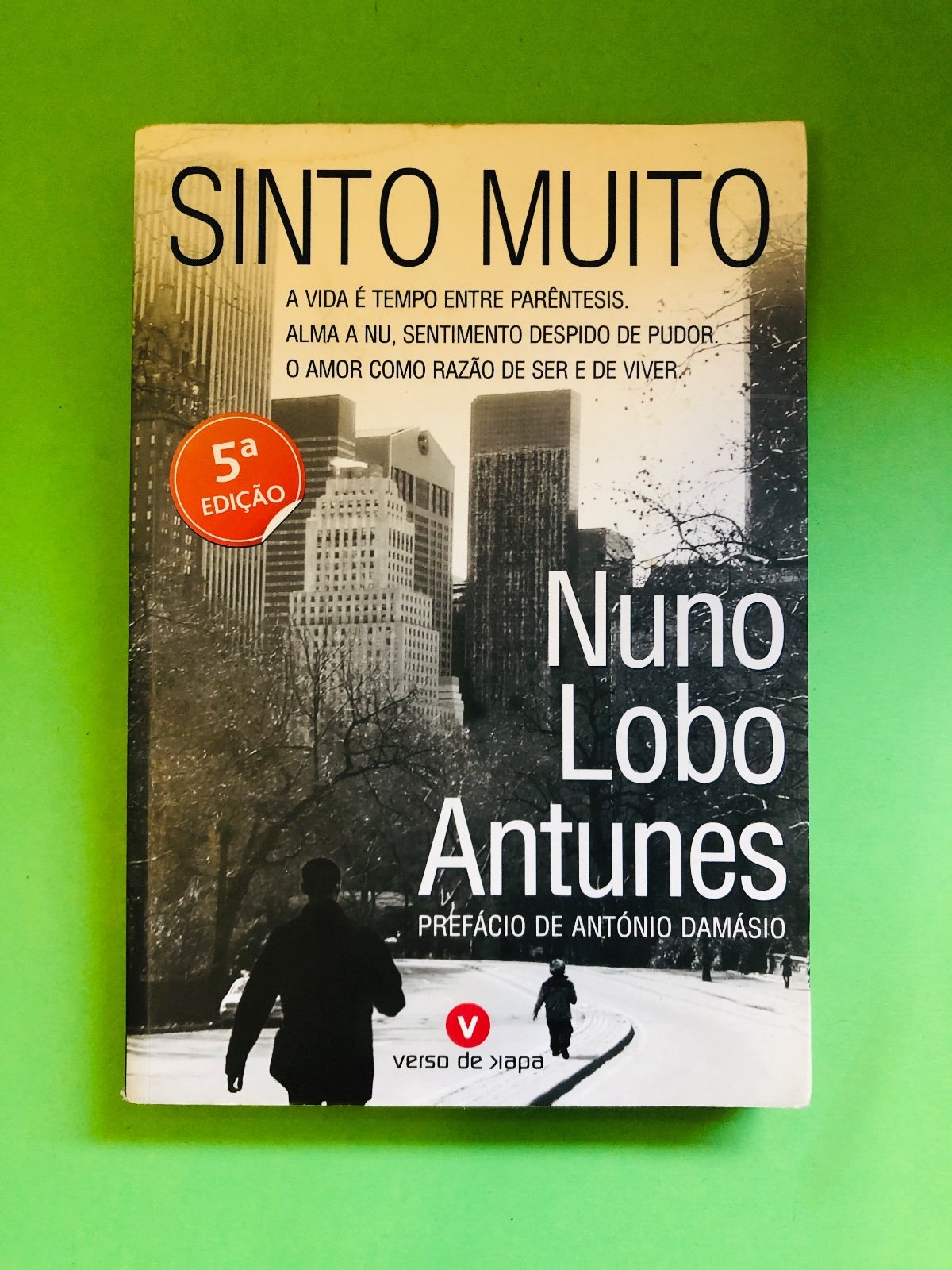 Sinto Muito - Nuno Lobo Antunes