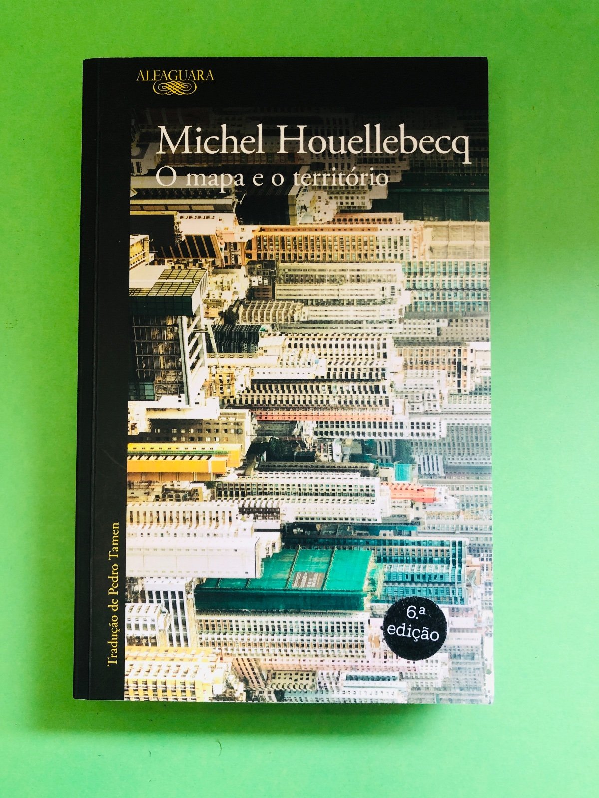 O mapa e o território - Michel Houellebecq