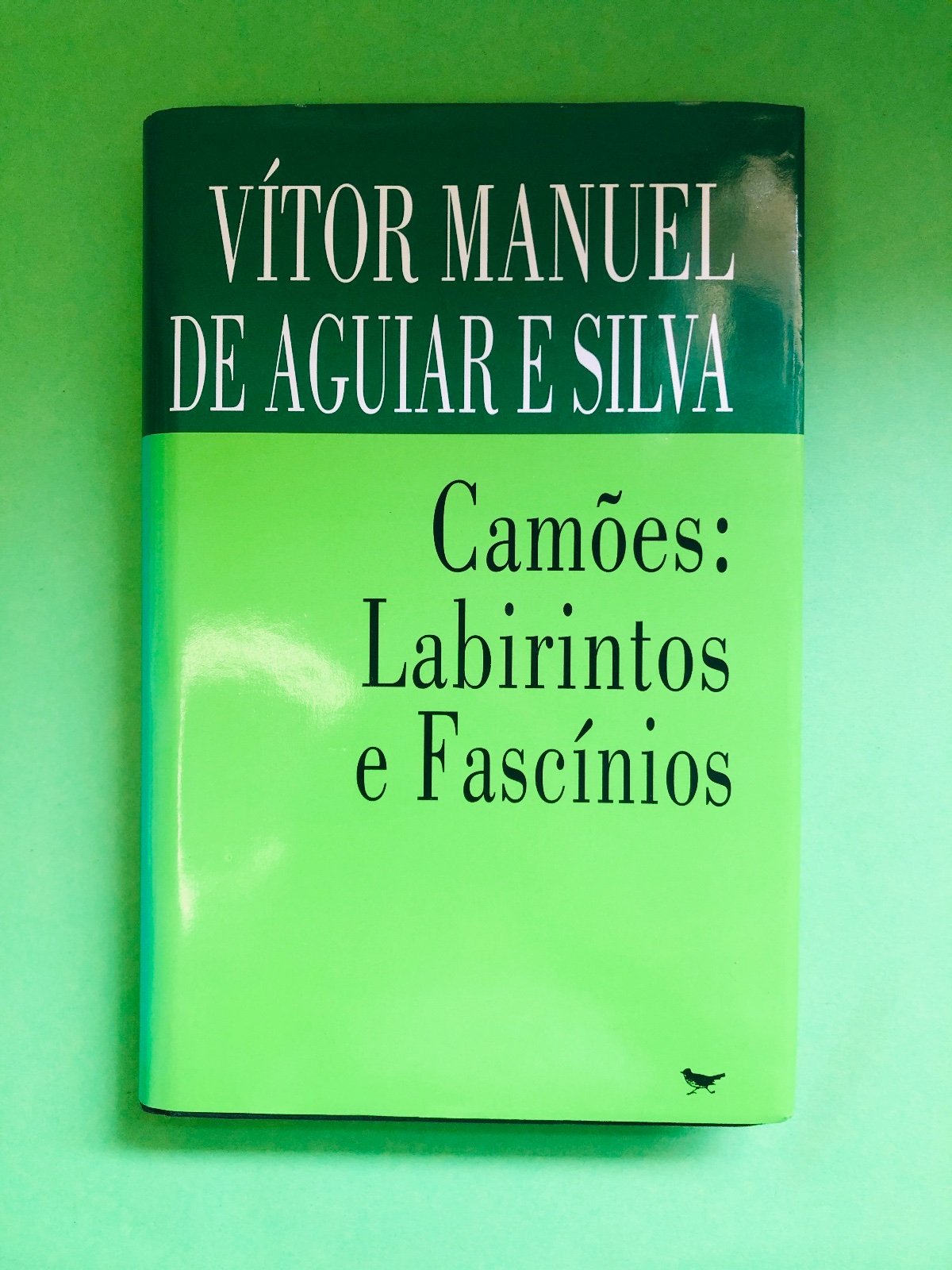 Camões: Labirintos e Fascínios - Vítor Manuel de Aguiar e Silva