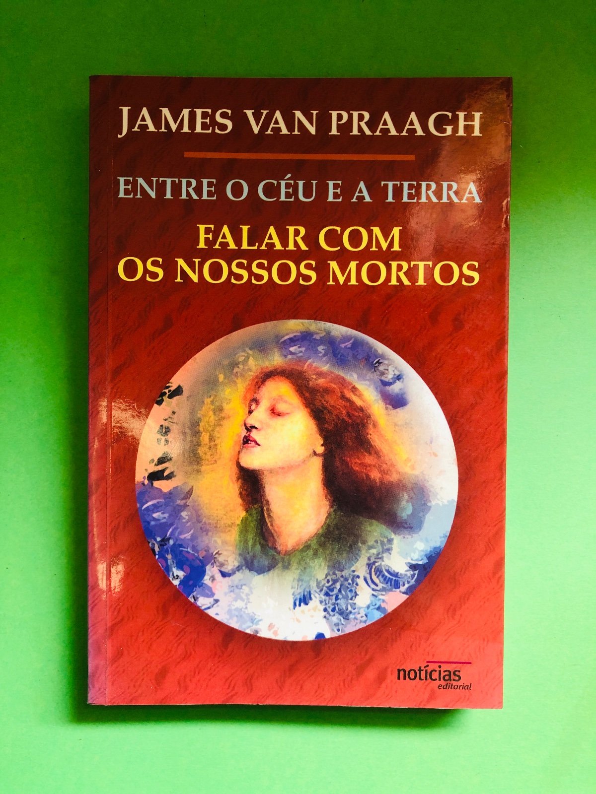 Entre o Céu e a Terra - JAMES VAN PRAAGH