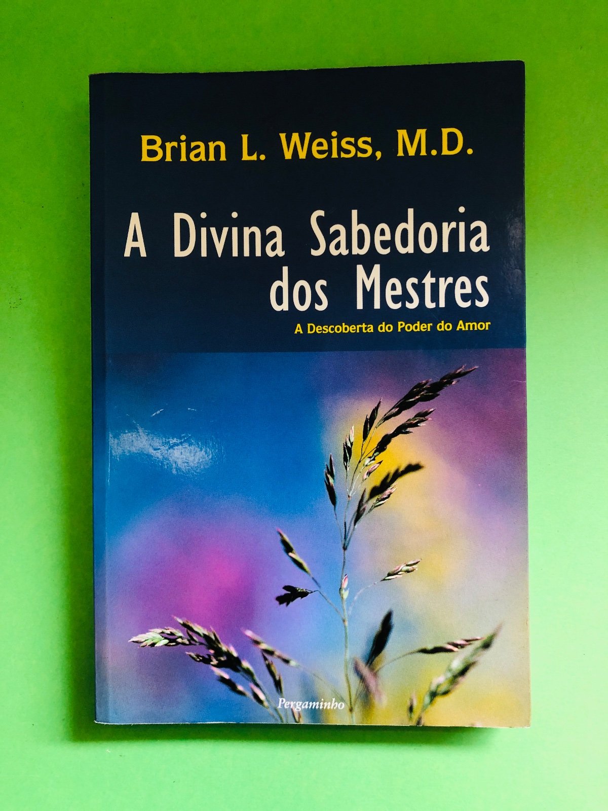 A Divina Sabedoria dos Mestres - Brian L. Weiss, M.D.