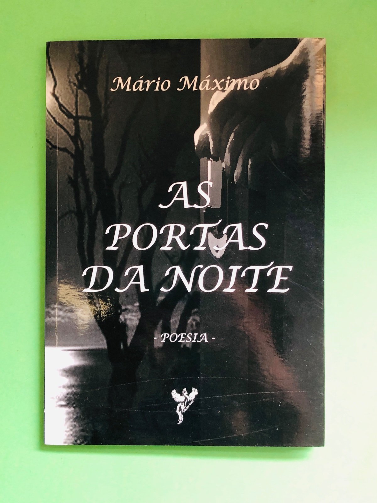 AS PORTAS DA NOITE - Mário Máximo