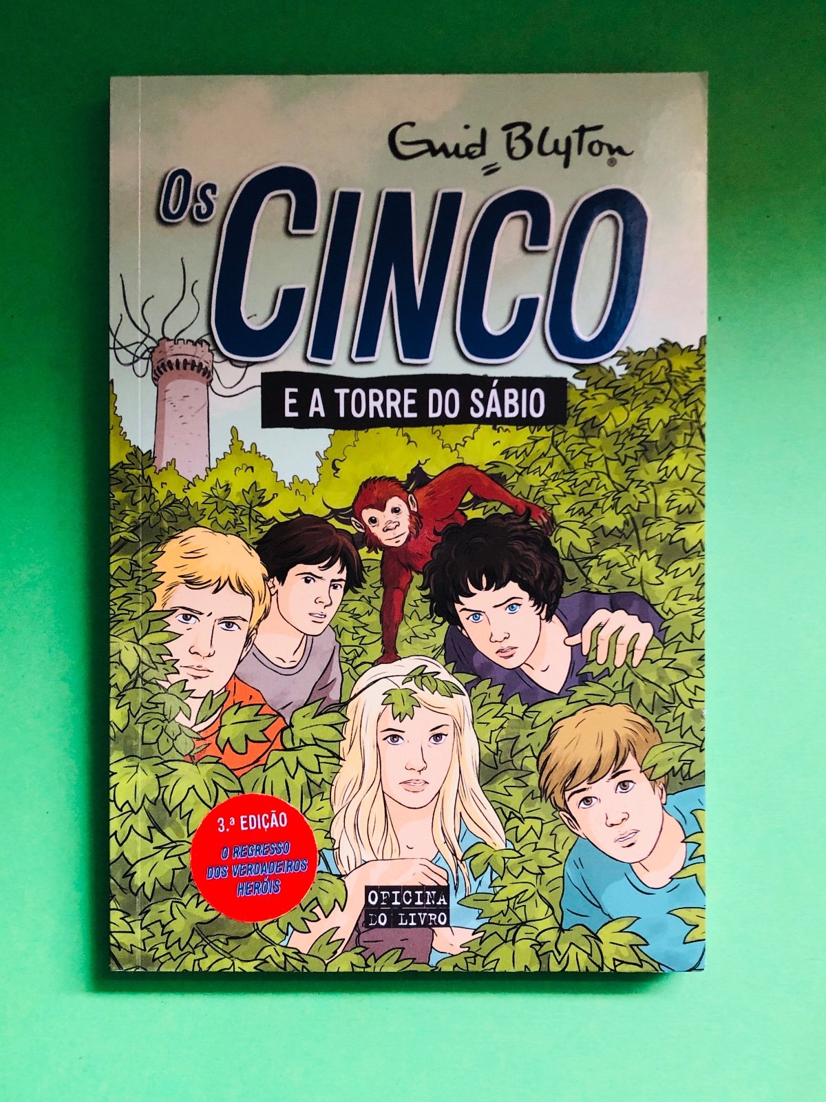 Os CINCO e a torre do Sábio - Enid Blyton