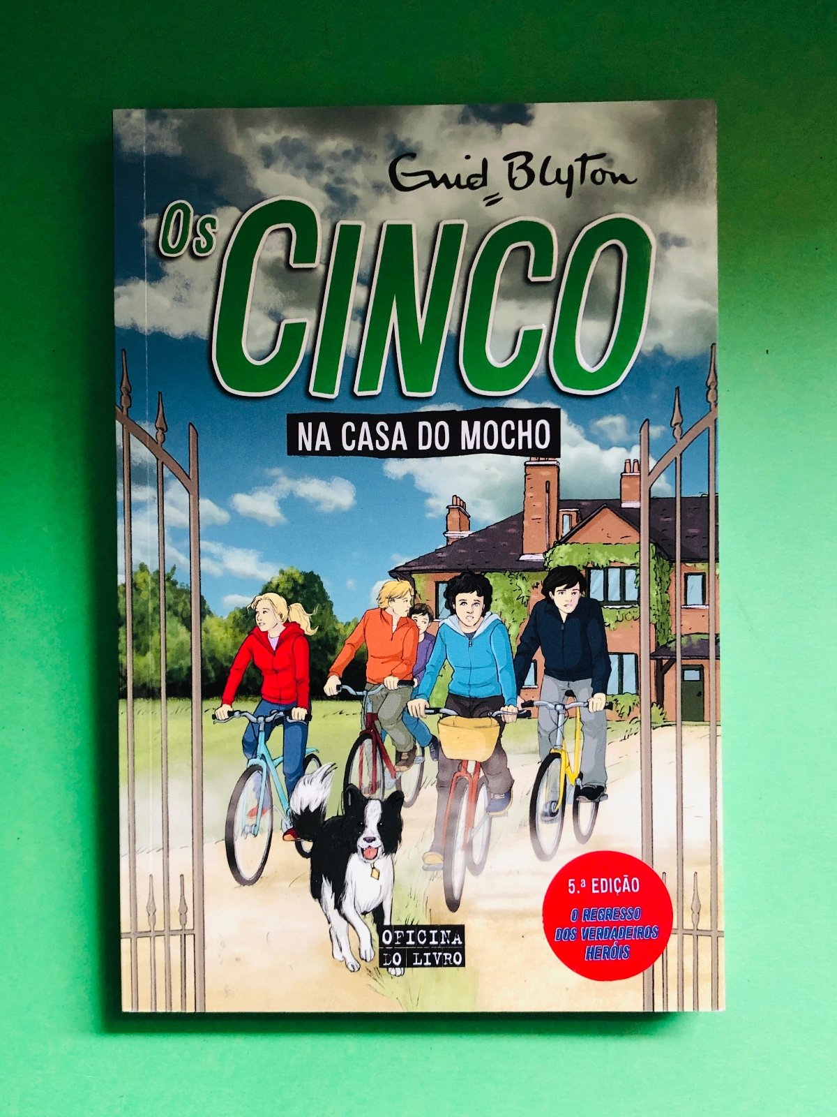 Os Cinco na Casa do Mocho - Enid Blyton