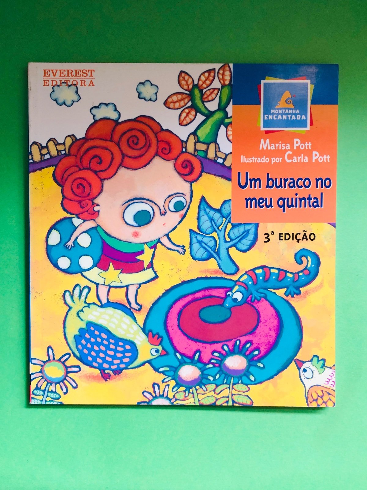 Um buraco no meu quintal - Marisa Pott