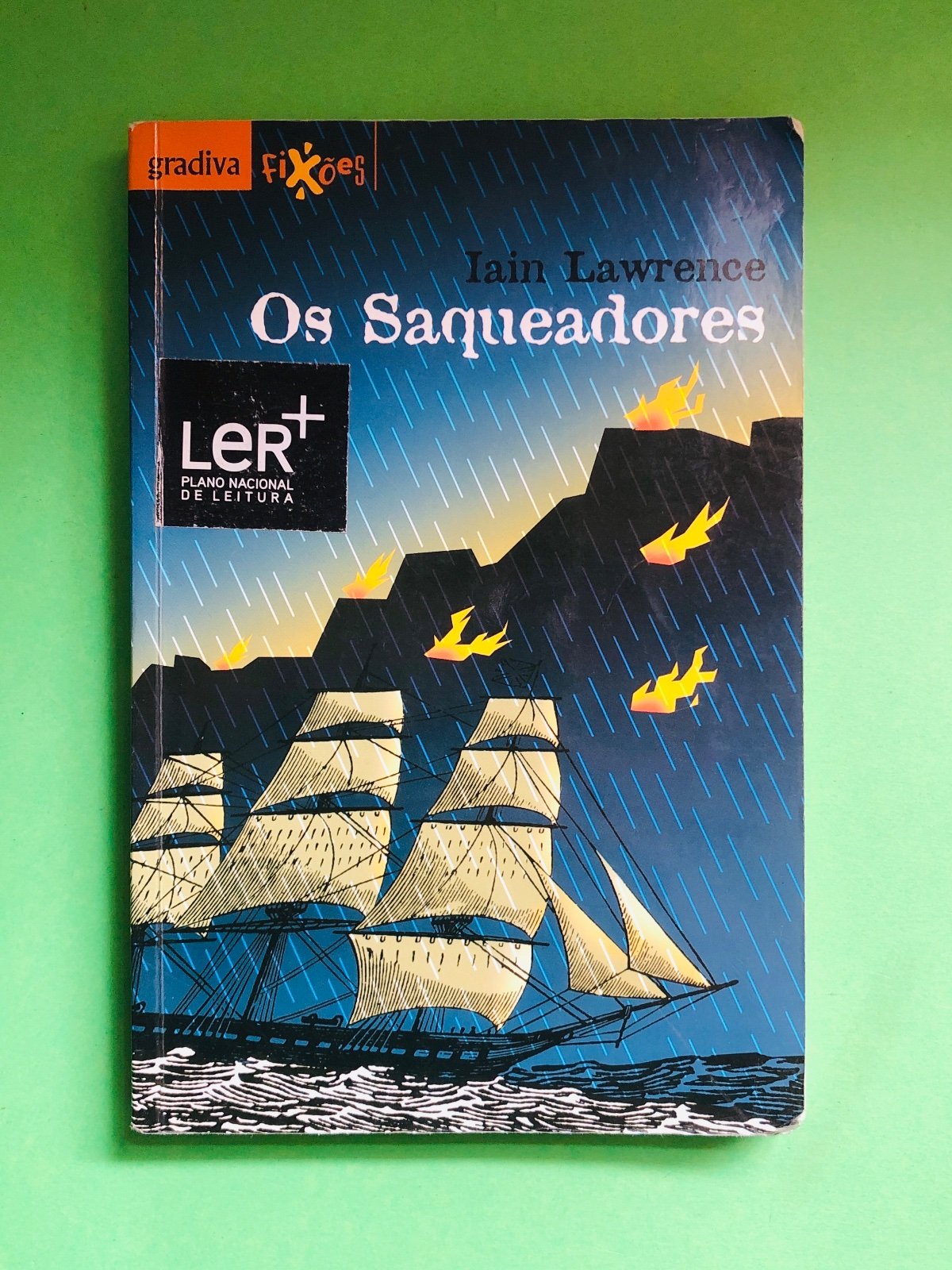 Os Saqueadores - Iain Lawrence