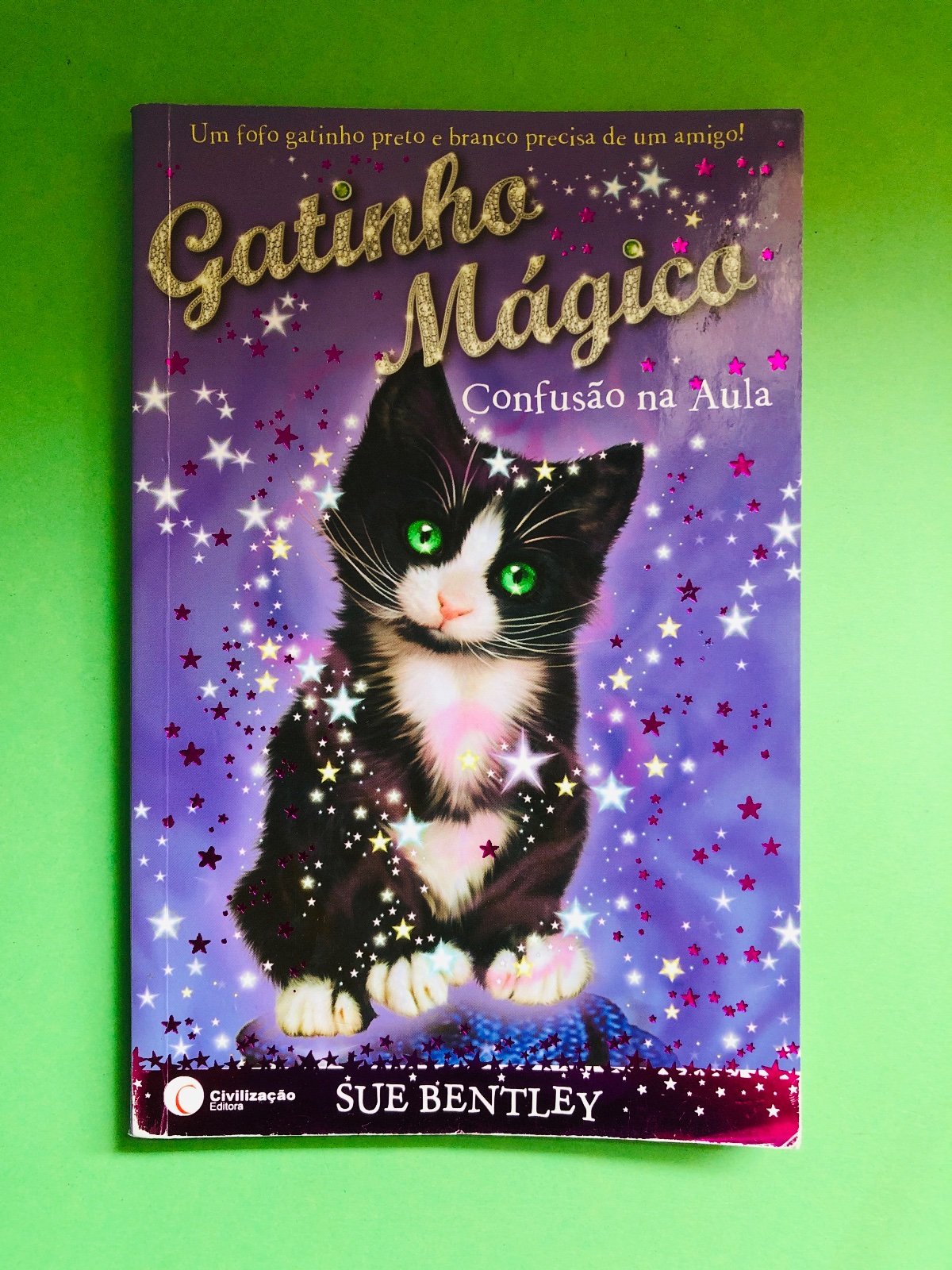 Gatinho Mágico: Confusão na Aula - Sue Bentley