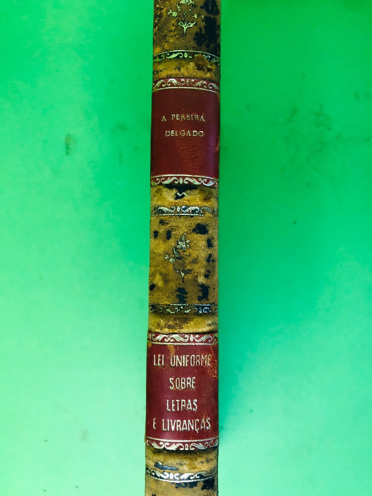 Segunda imagem
