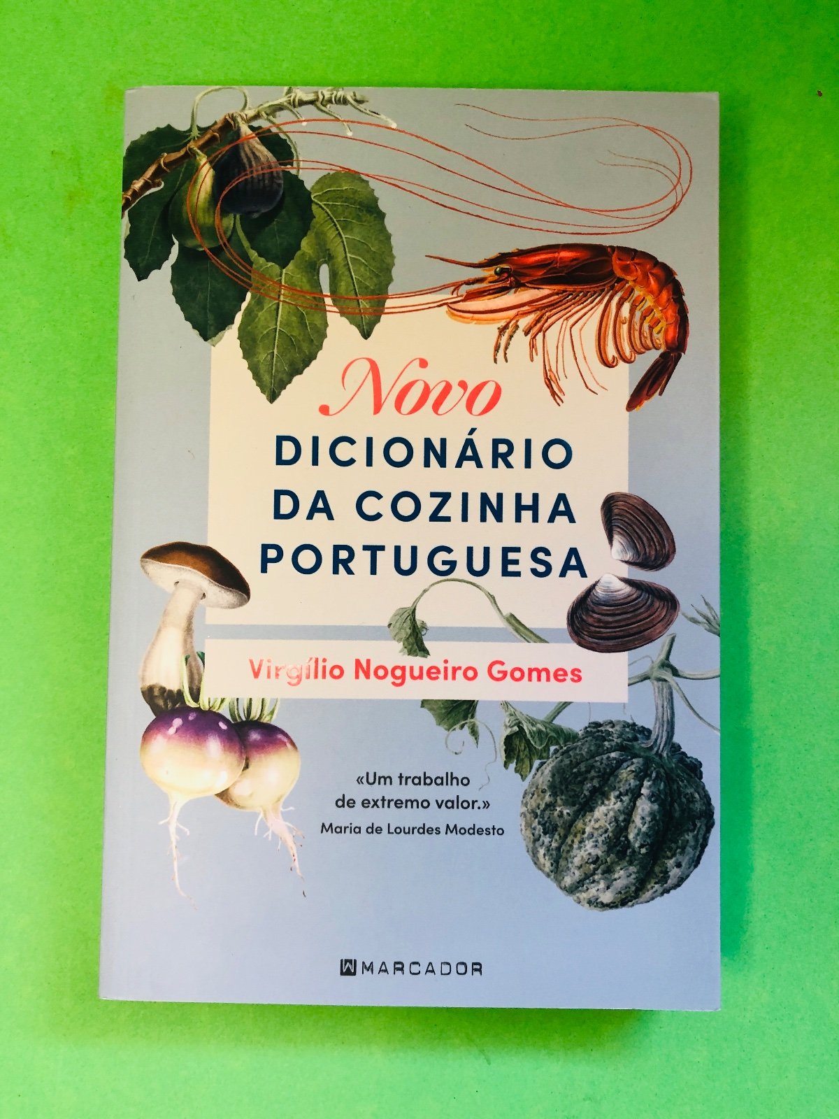 Novo Dicionário da Cozinha Portuguesa - Virgílio Nogueiro Gomes