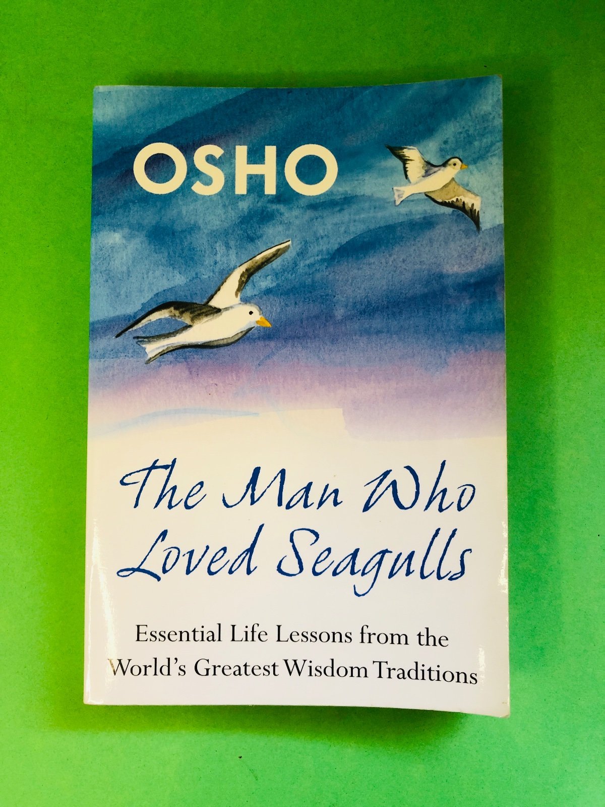 The Man Who Loved Seagulls - OSHO