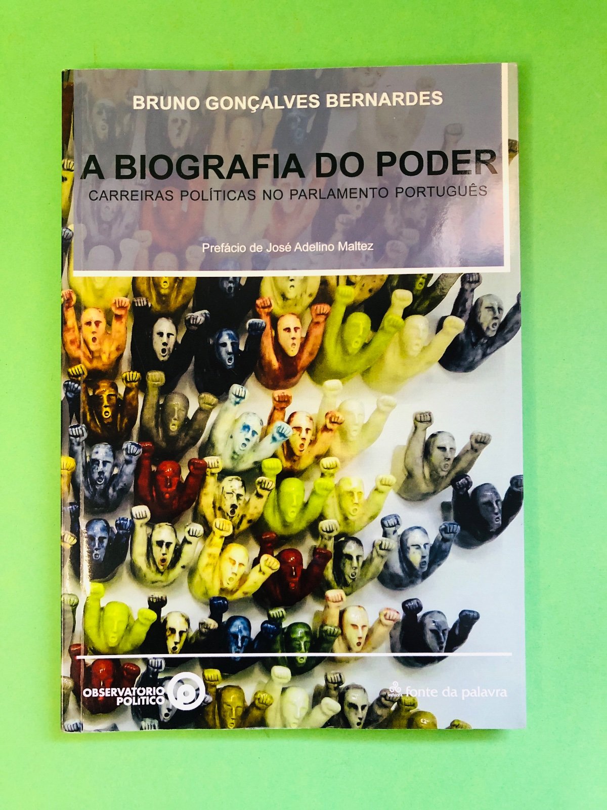 A Biografia do Poder - Bruno Gonçalves Bernardes