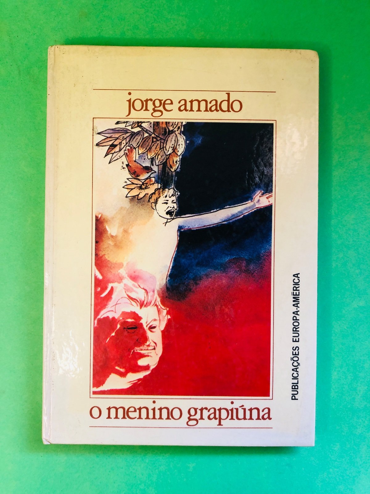 o menino grapiúna - jorge amado