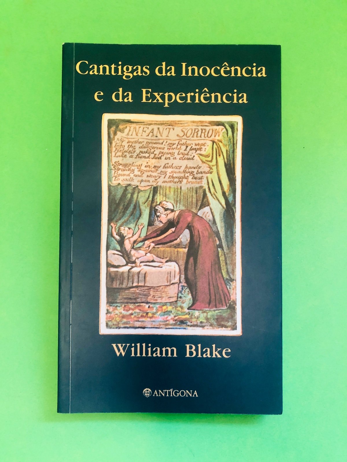 Cantigas da Inocência e da Experiência - William Blake