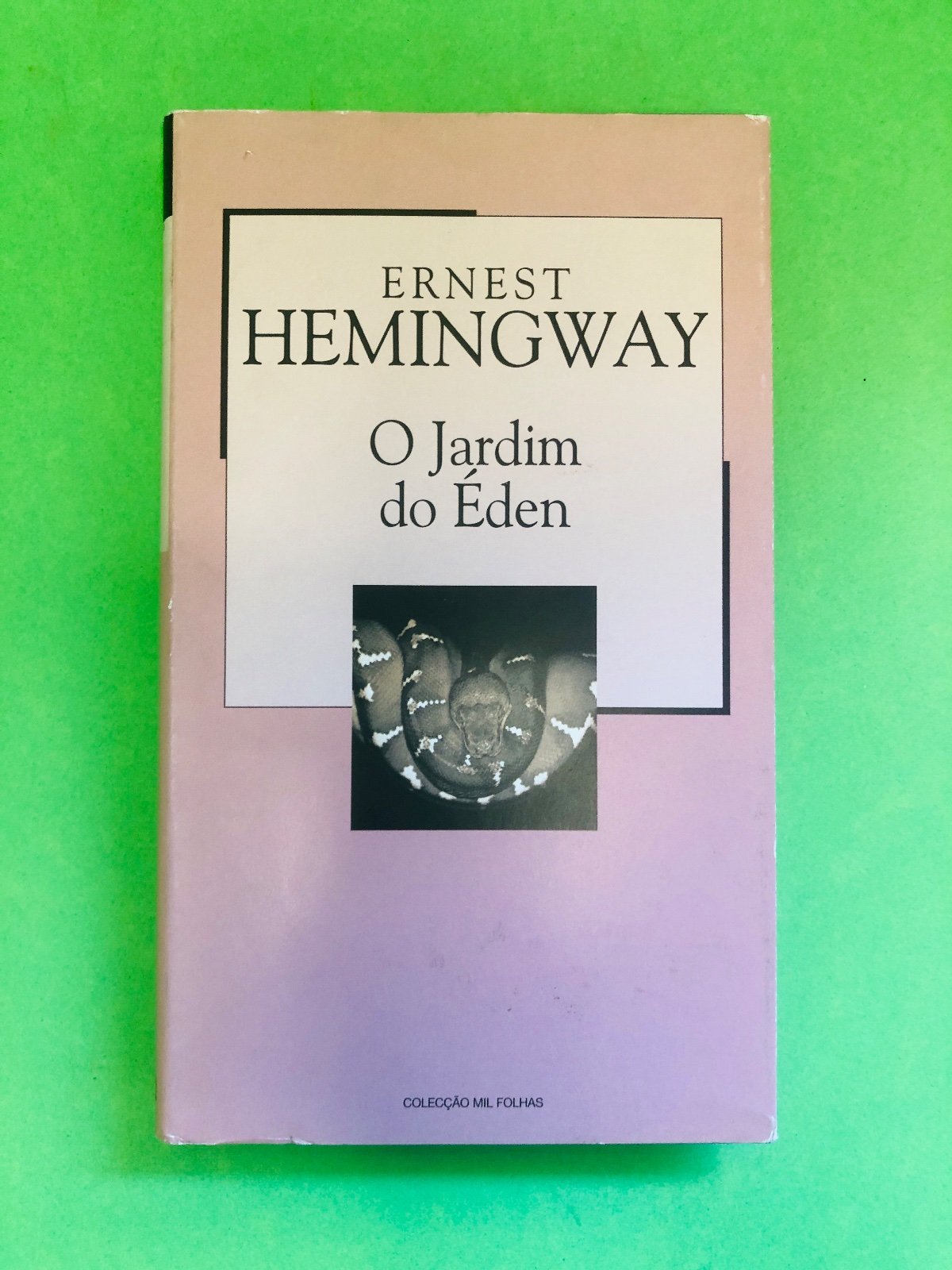 O Jardim do Éden - ERNEST HEMINGWAY