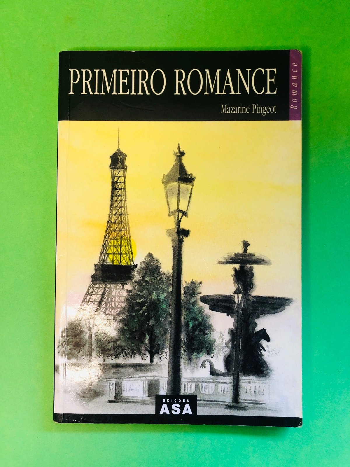PRIMEIRO ROMANCE - Mazarine Pingeot
