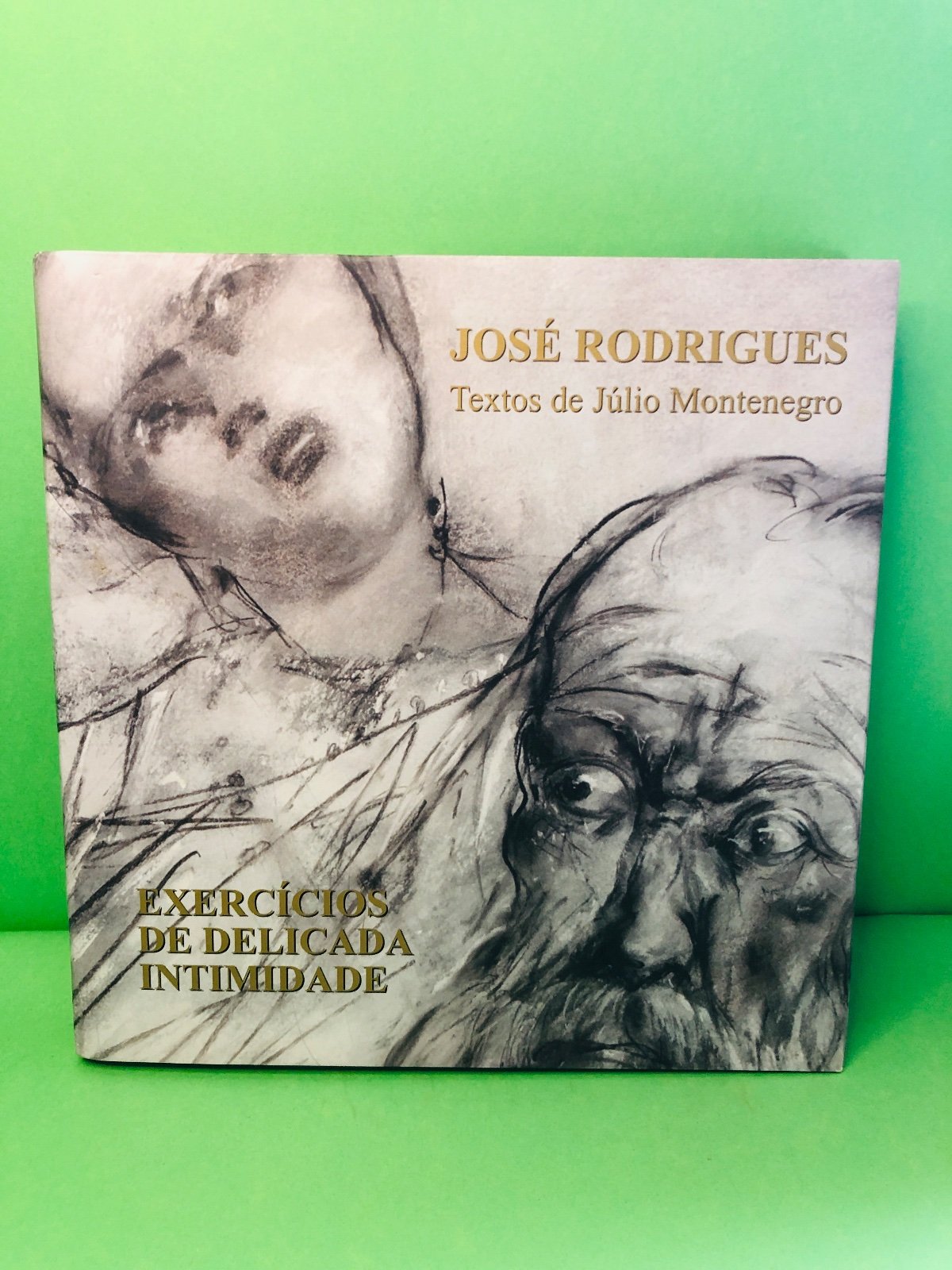 Exercícios de Delicada Intimidade - José Rodrigues