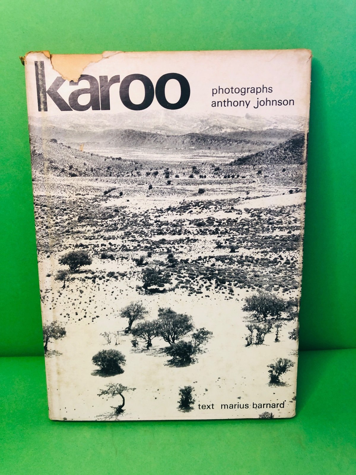 karoo - anthony johnson