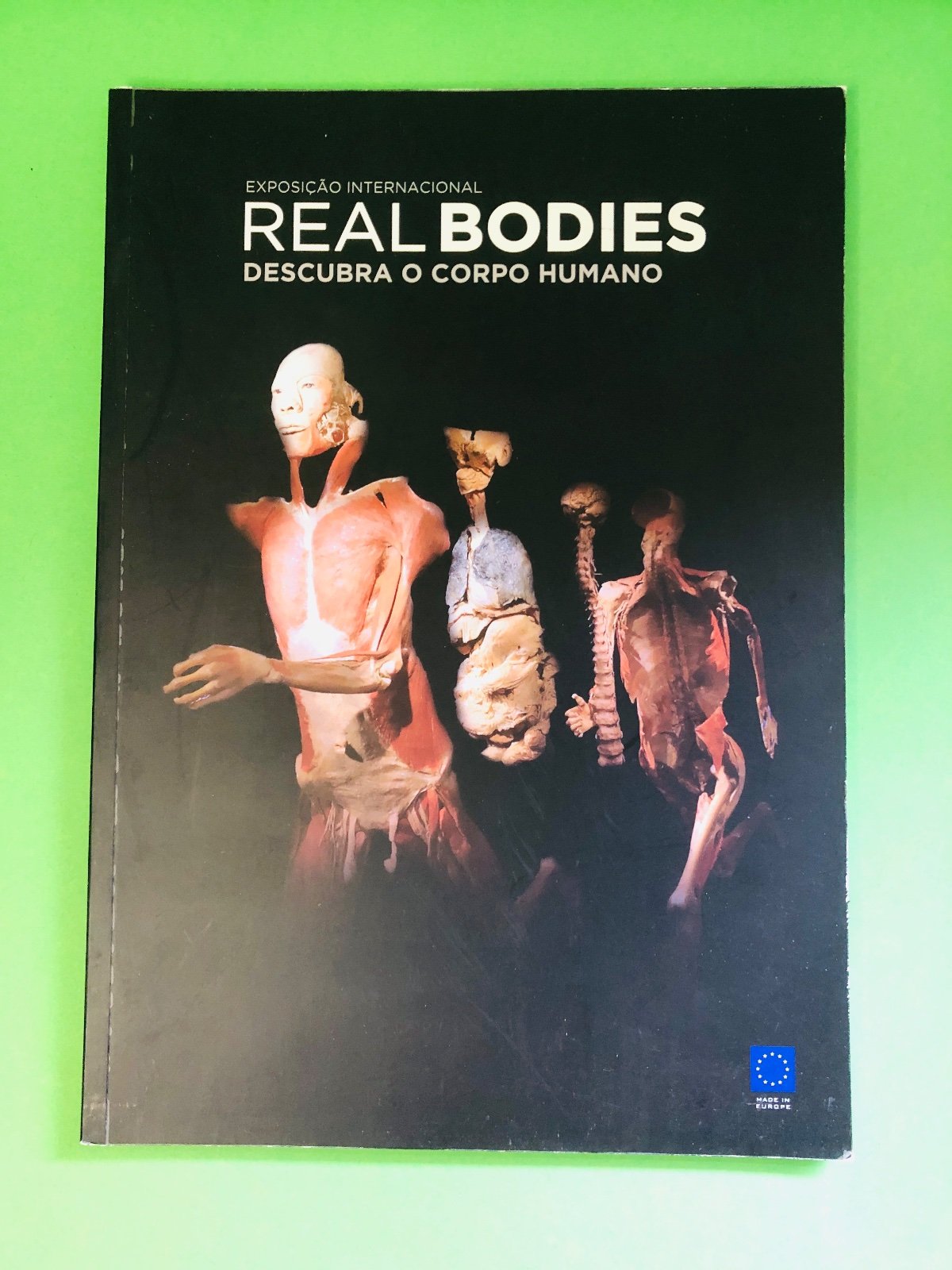REAL BODIES