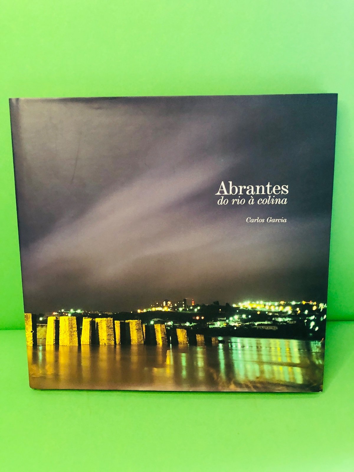 Abrantes do rio à colina - Carlos Garcia