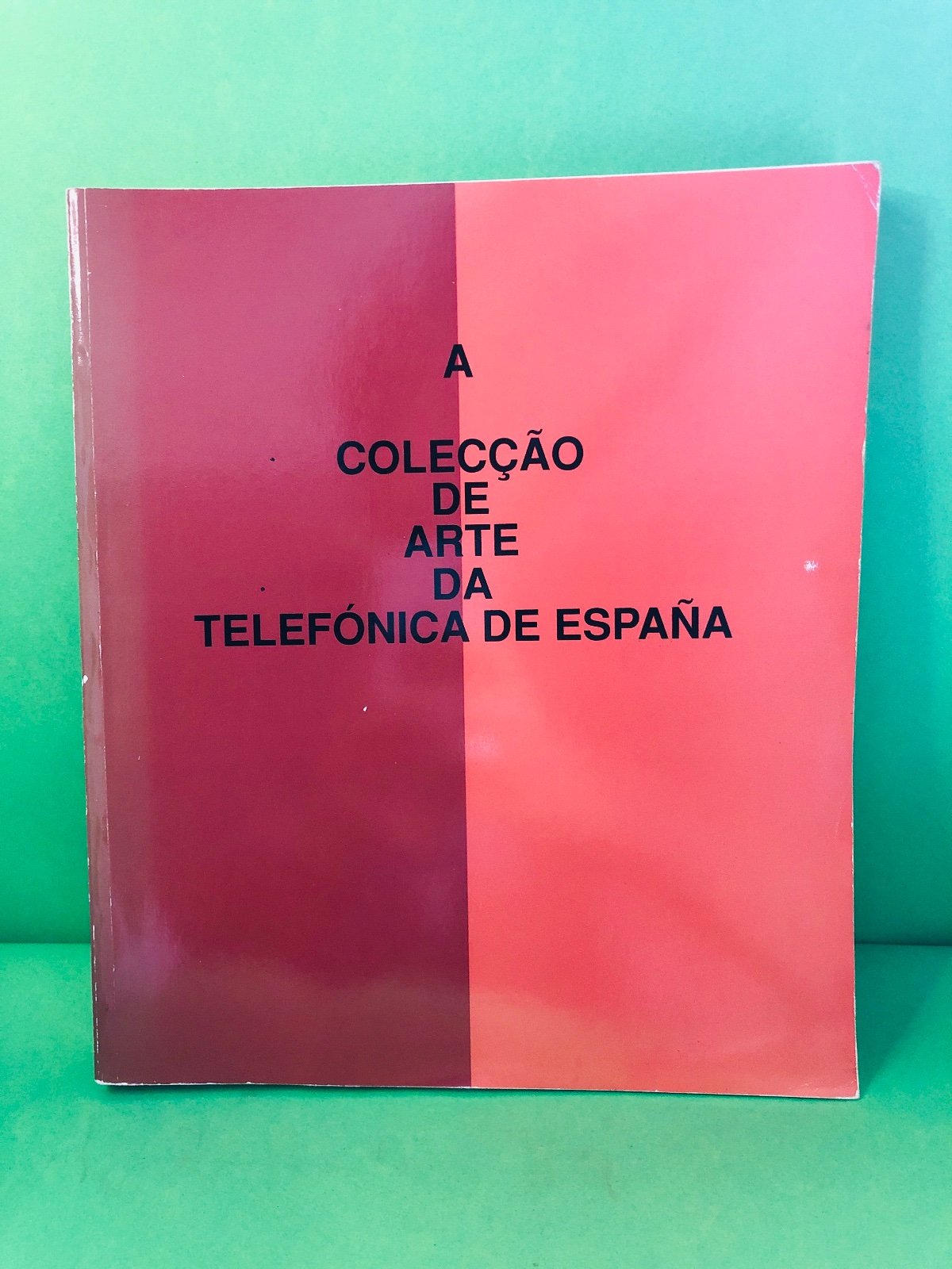 A COLECÇÃO DE ARTE DA TELEFÓNICA DE ESPANHA