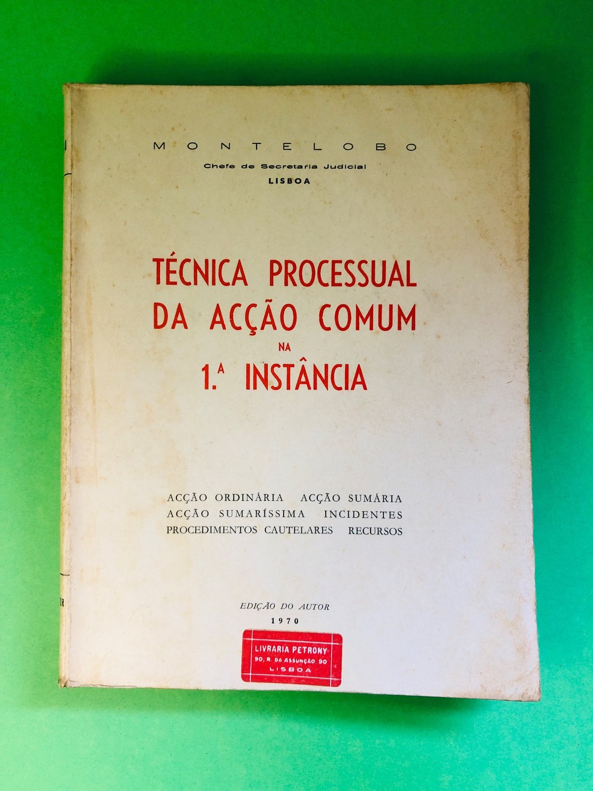 TÉCNICA PROCESSUAL DA ACÇÃO COMUM NA 1.ª INSTÂNCIA - MONTELBO